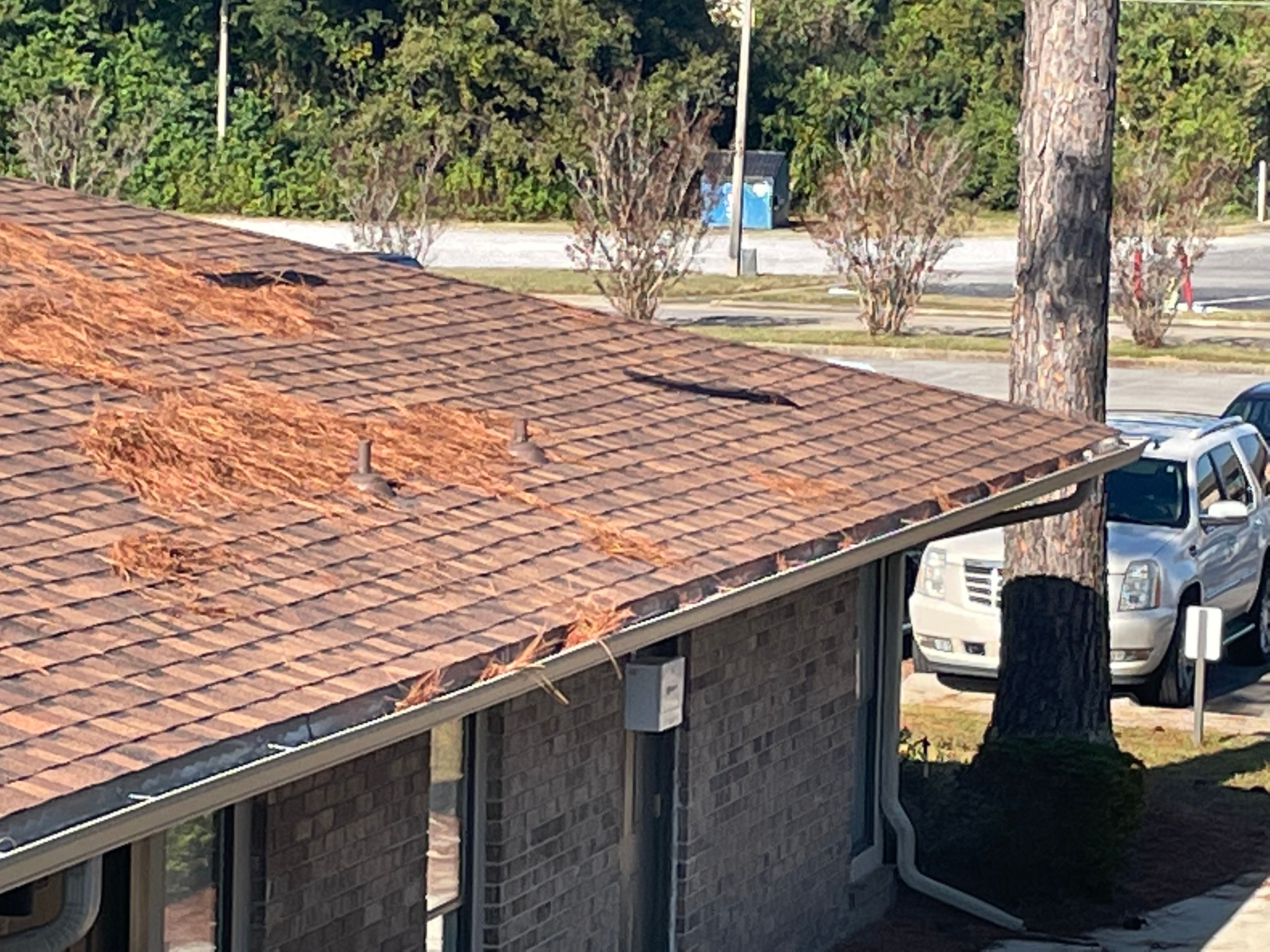  for Precision Exterior Enterprises LLC in Pensacola, FL