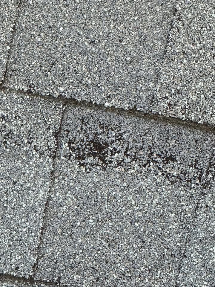  for AVCO Roofing in Fayetteville, NC