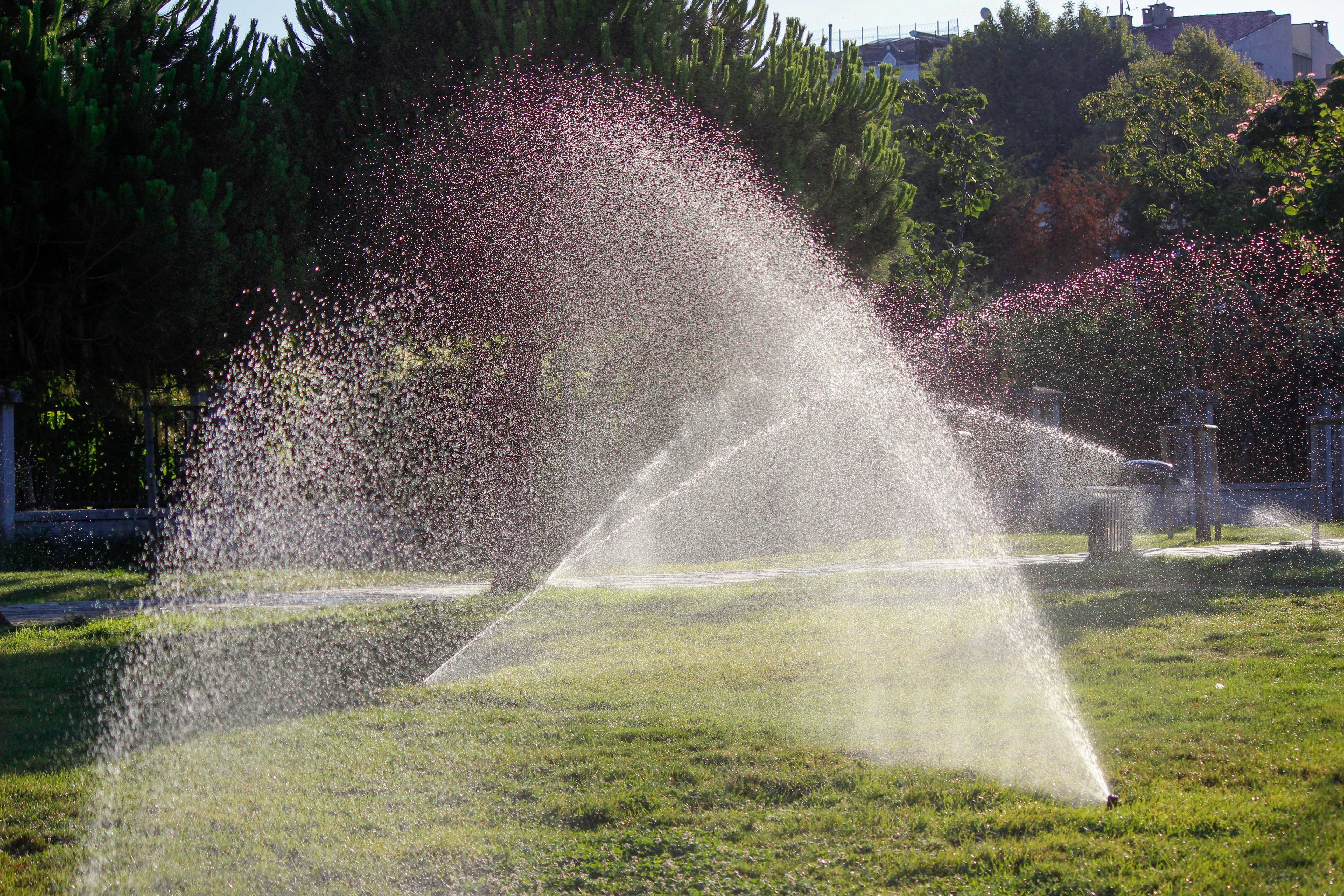  for  Be Green Lawn Care & Landscaping, LLC in Denton, TX