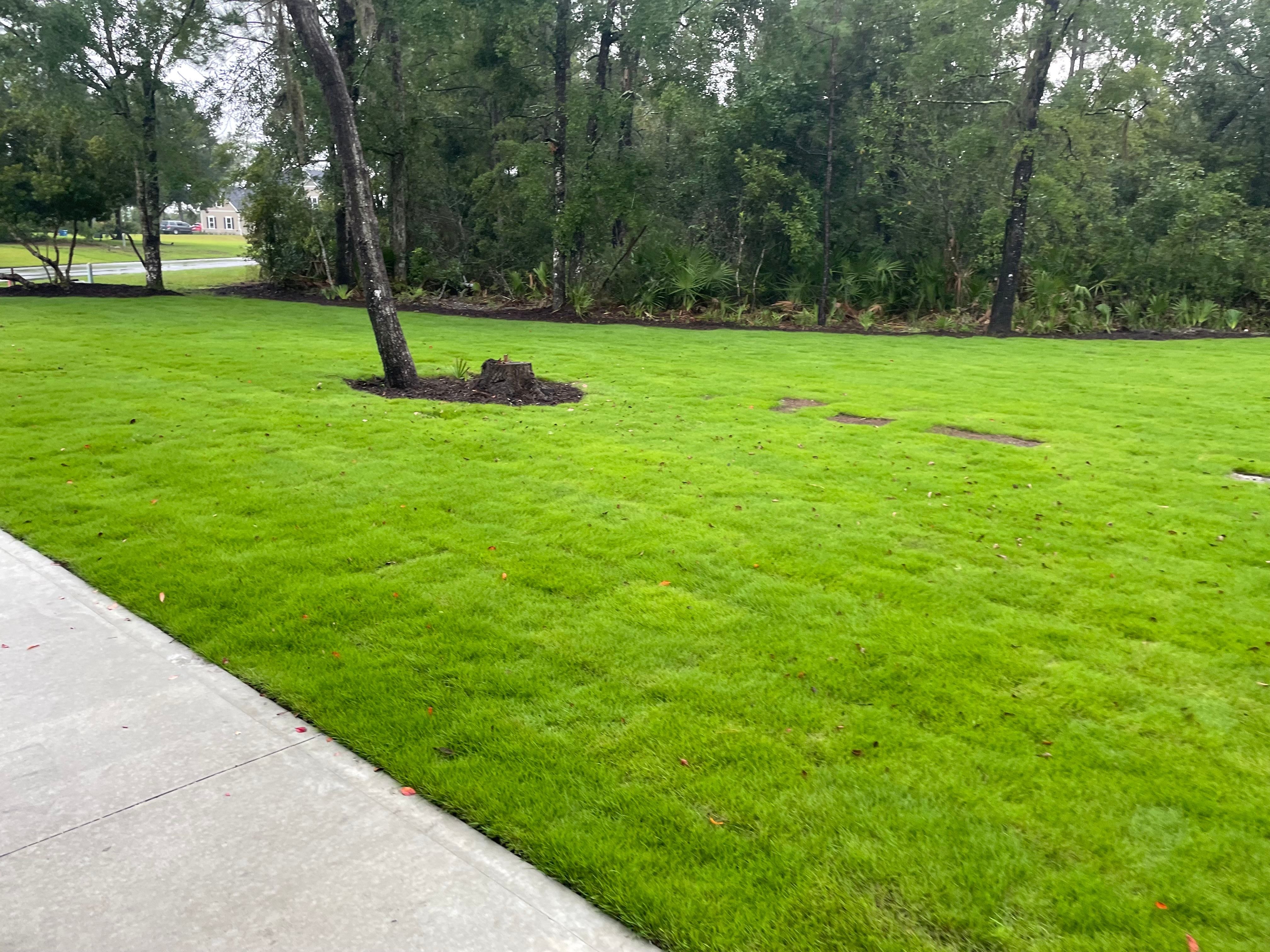  for Golden Isles Greenery in Brunswick, GA