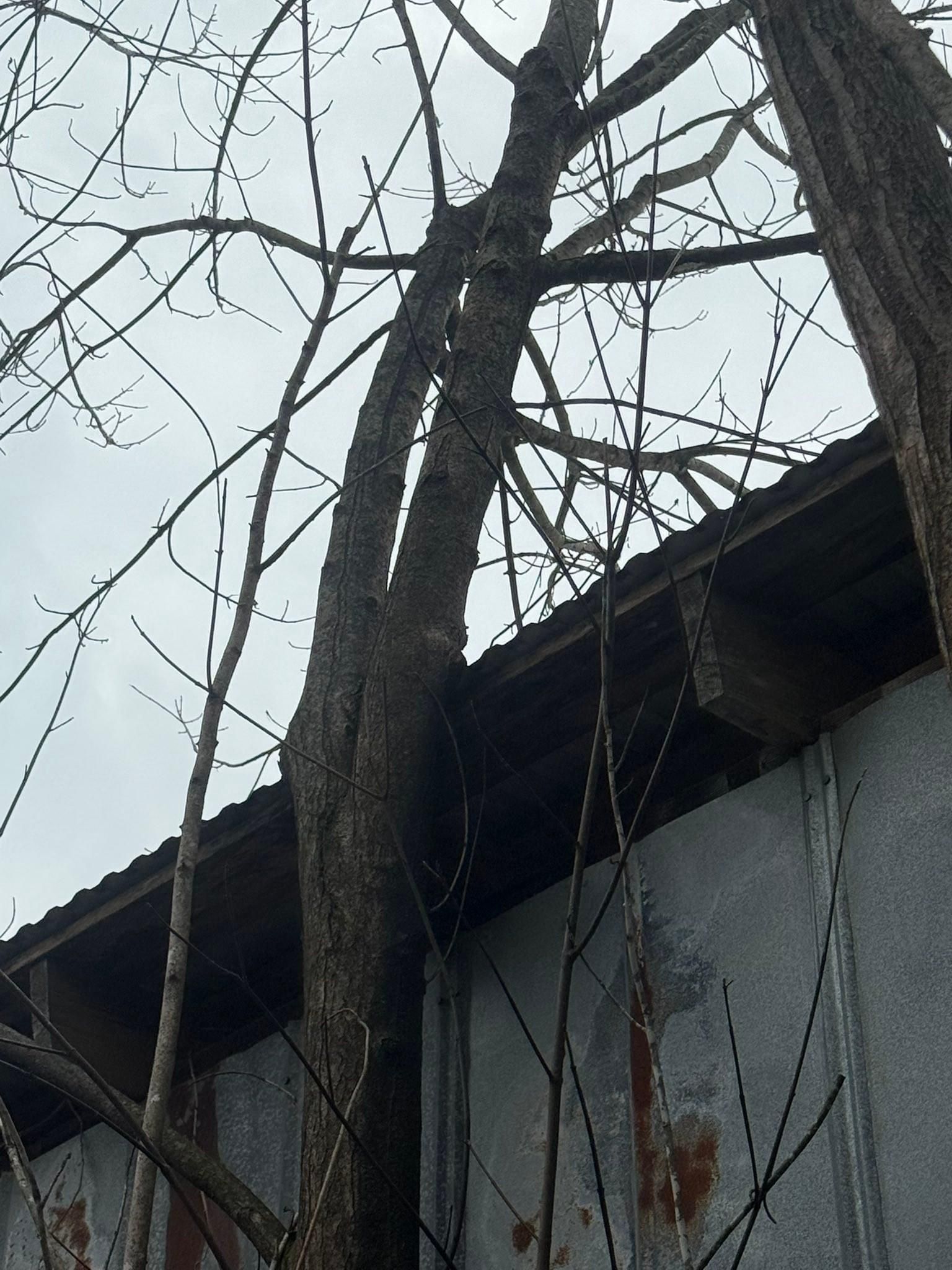  for Chiles Lawn & Landscaping in Gordonsville, VA