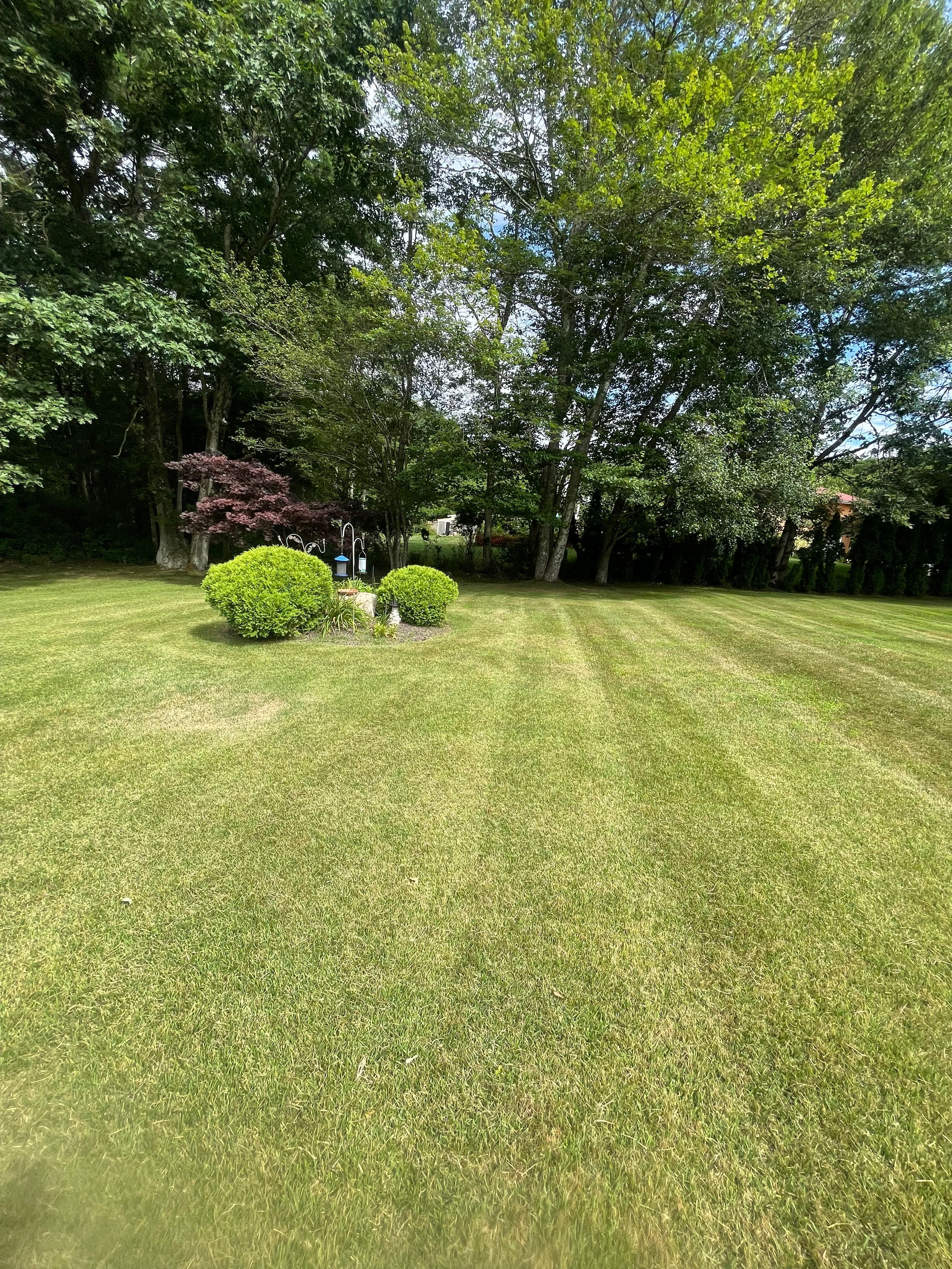  for Lucas Property Maintenance LLC in New Bedford, MA