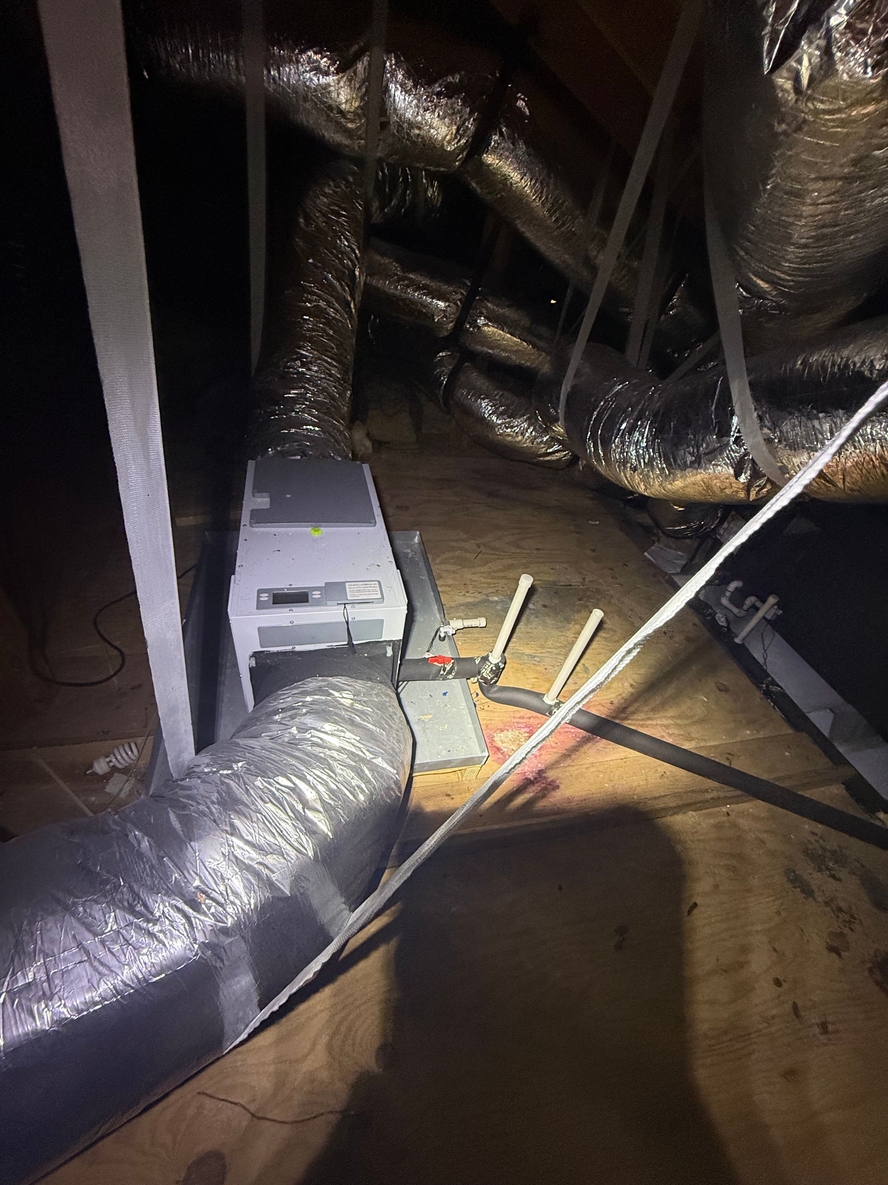  for Coastal Comfort in Galveston, TX