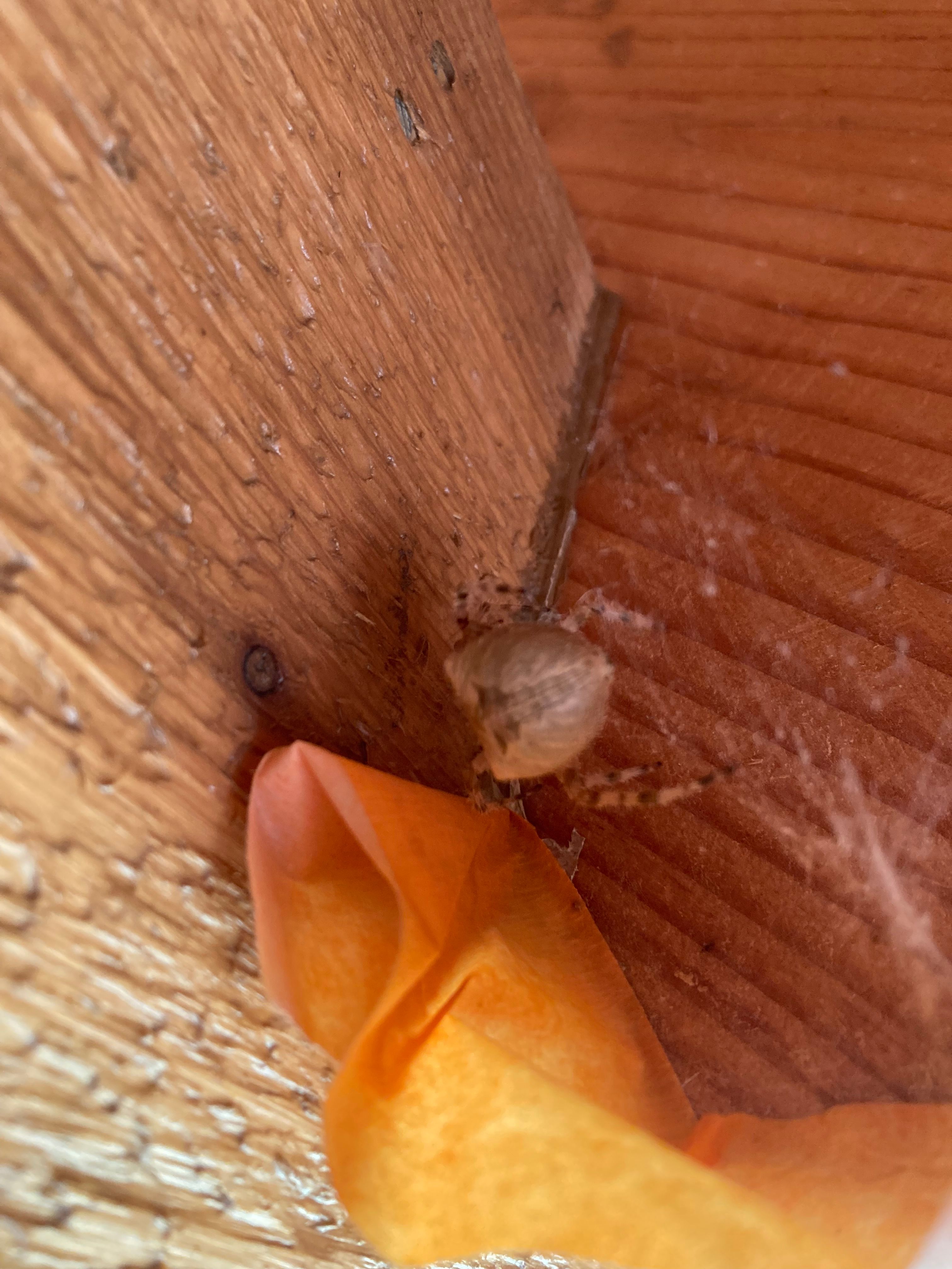  for Kenneth Fuller in Cleveland, MN