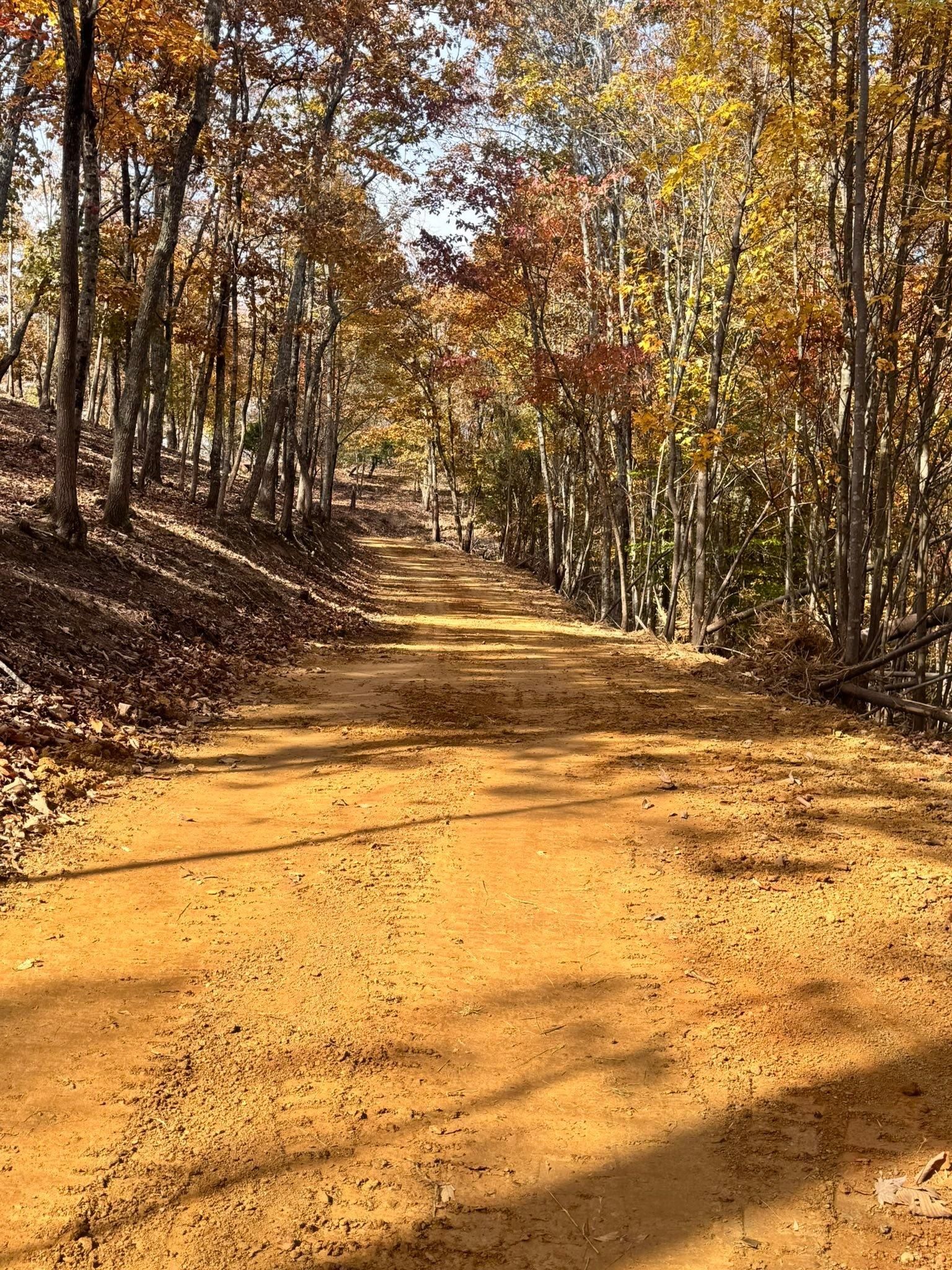  for Leal’s Lawn Service in Dayton, TN