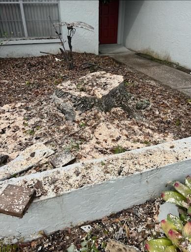  for KB’s Stump Removal in Seminole, FL
