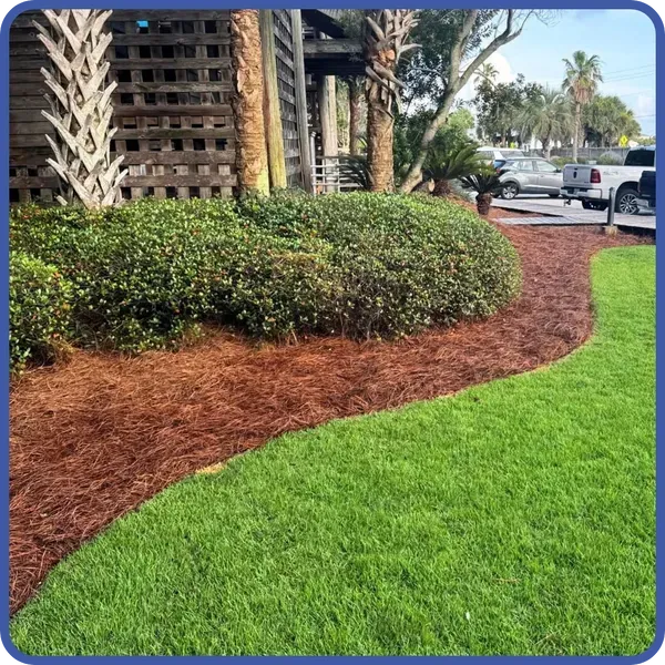  for Poarch Creek Landscaping in Santa Rosa Beach, FL