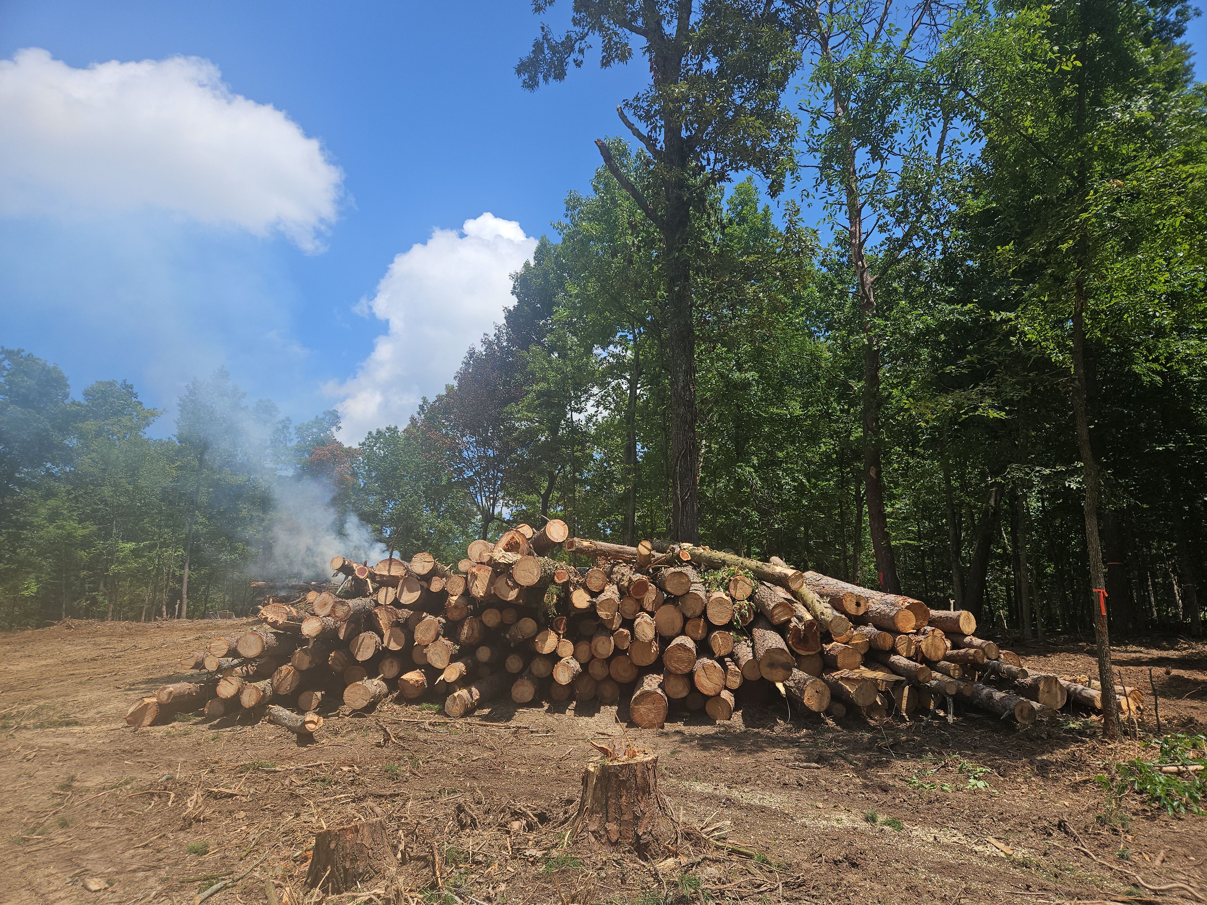  for Bledsoe & Sons Excavating and Developing in Dandridge, TN