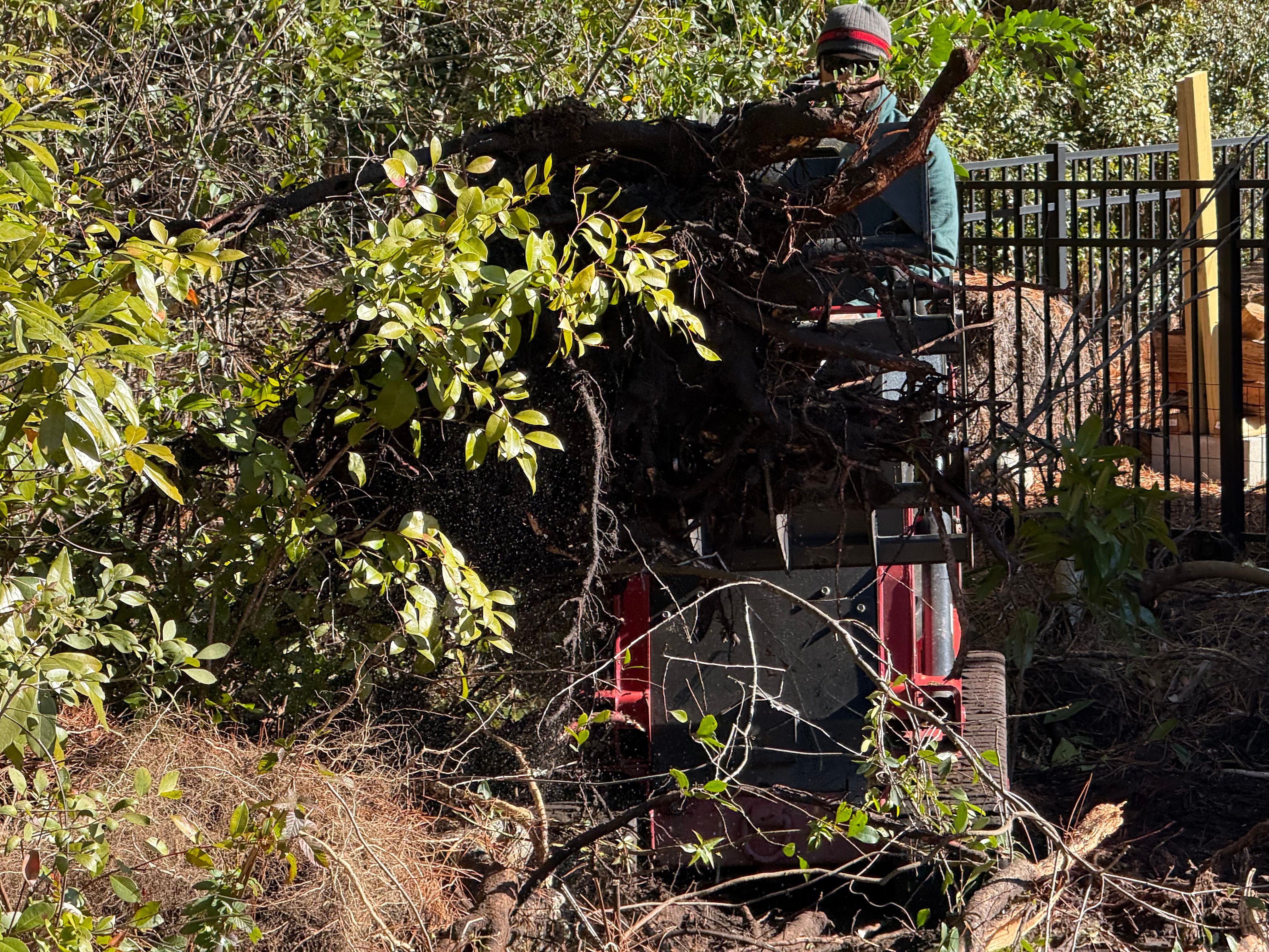  for New Creation Landscaping in Myrtle Beach, SC
