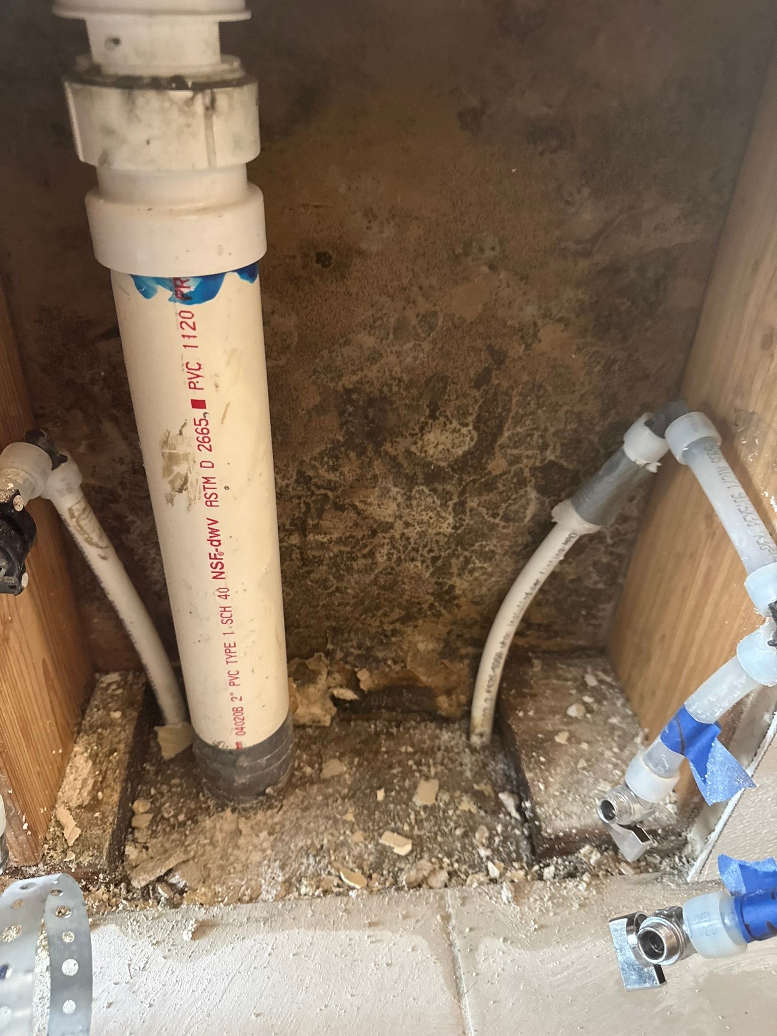  for Tony's Remodeling & Painting in Renton, WA