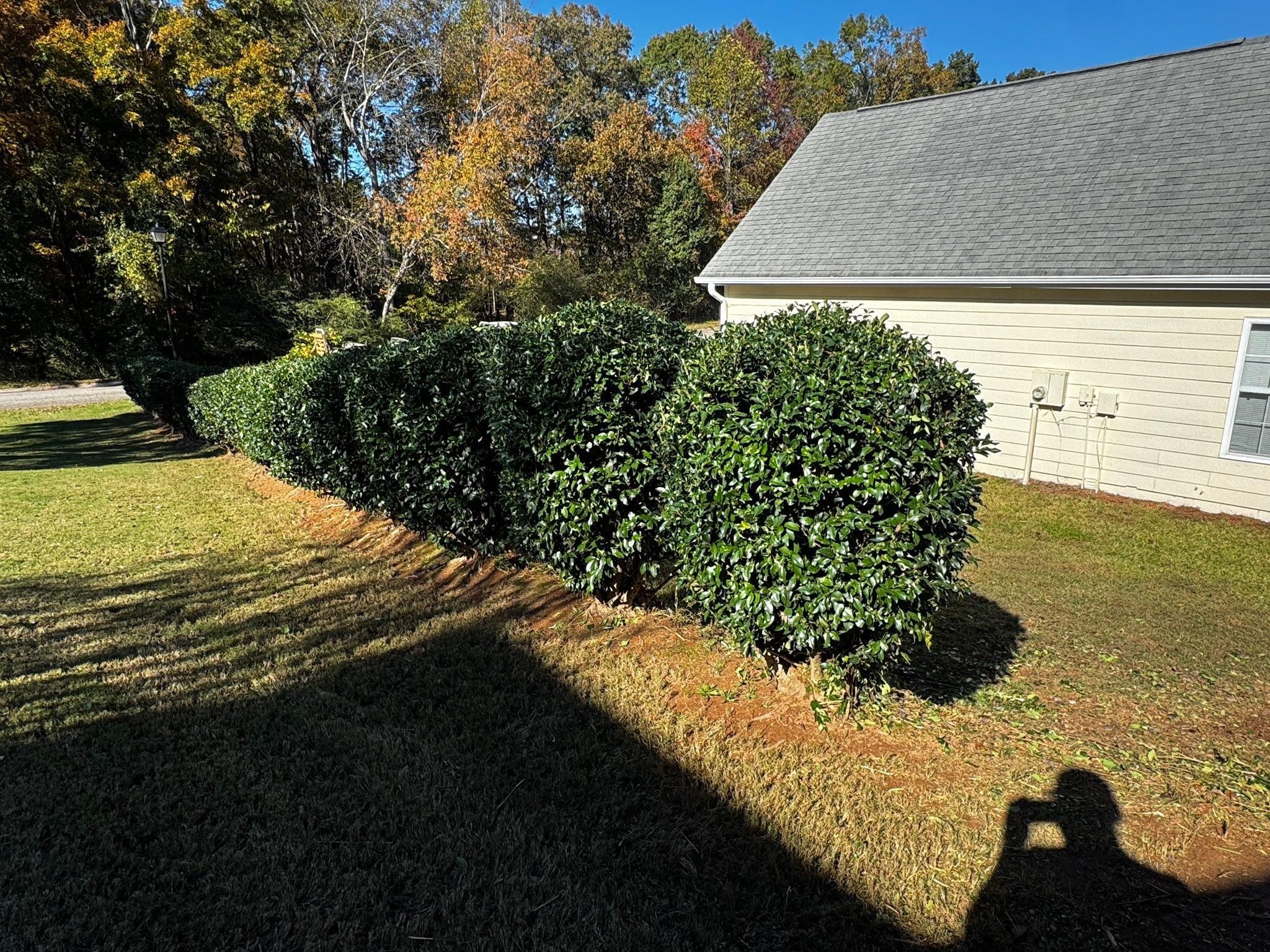  for Deeply Rooted Lawns – Hydroseeding & Sod Installation Services in Winder, GA
