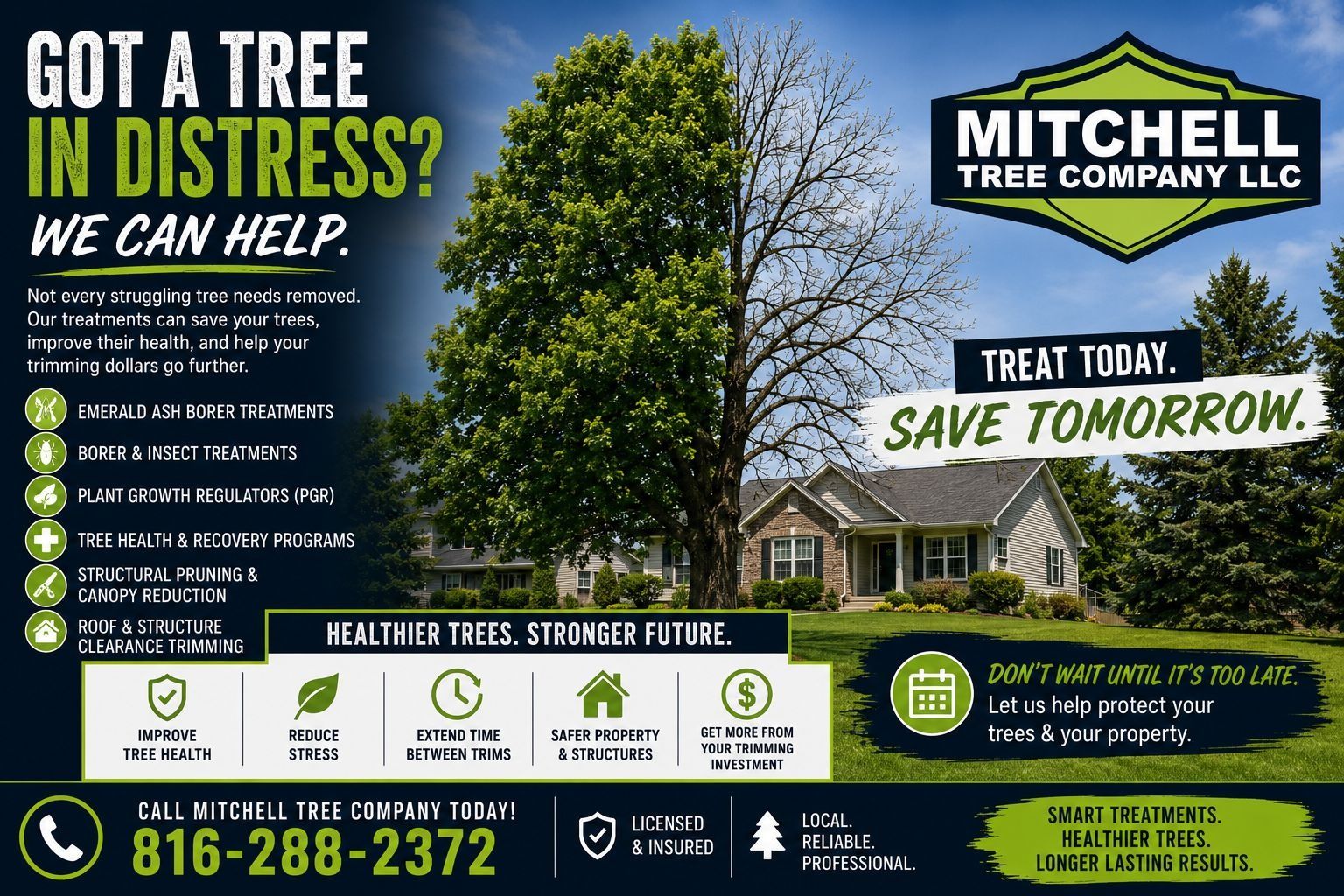  for Mitchell Tree Company in Lathrop, MO