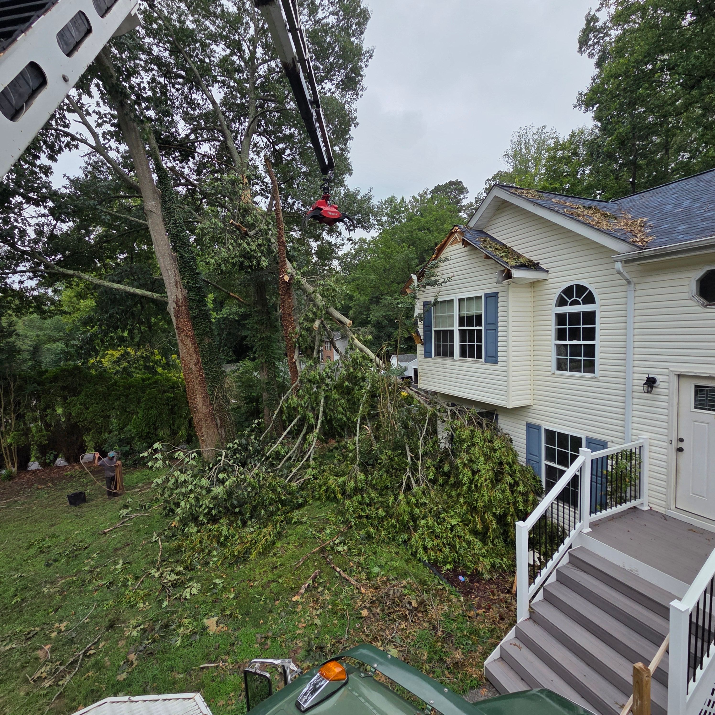  for Darbie's Tree Service in Newburg,  MD