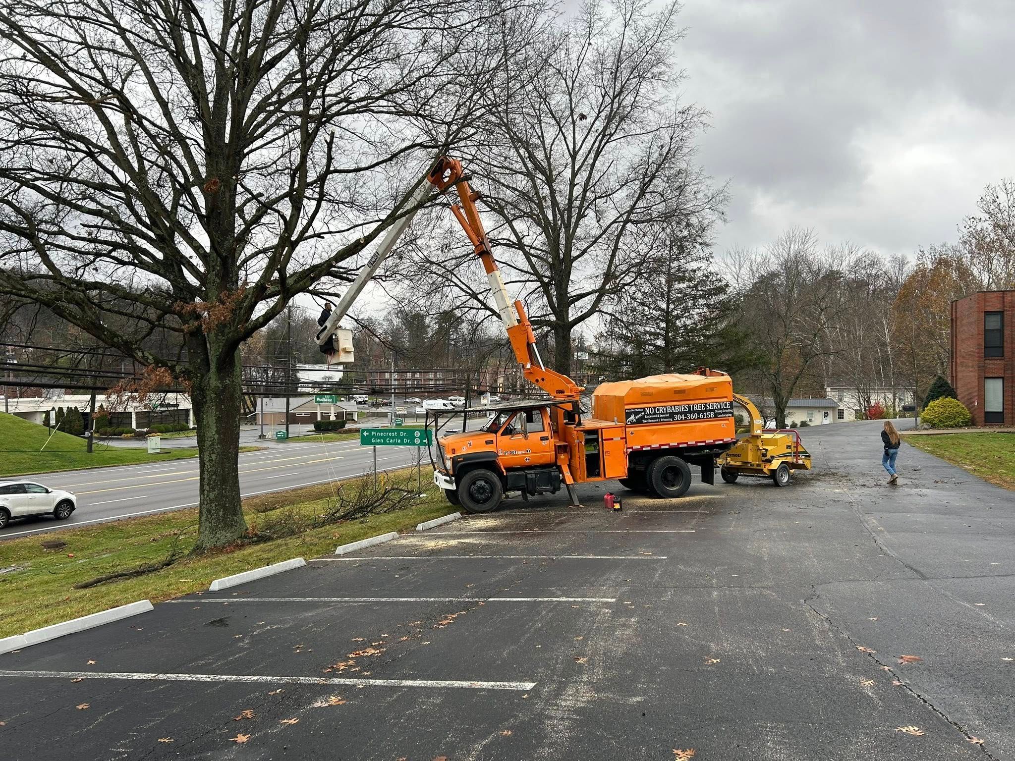 Tree Services for KJ’s Tree Service & More LLC in Fraziers Bottom, WV