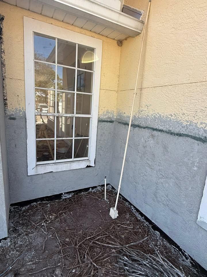  for Escorpio Painting in Tampa, FL