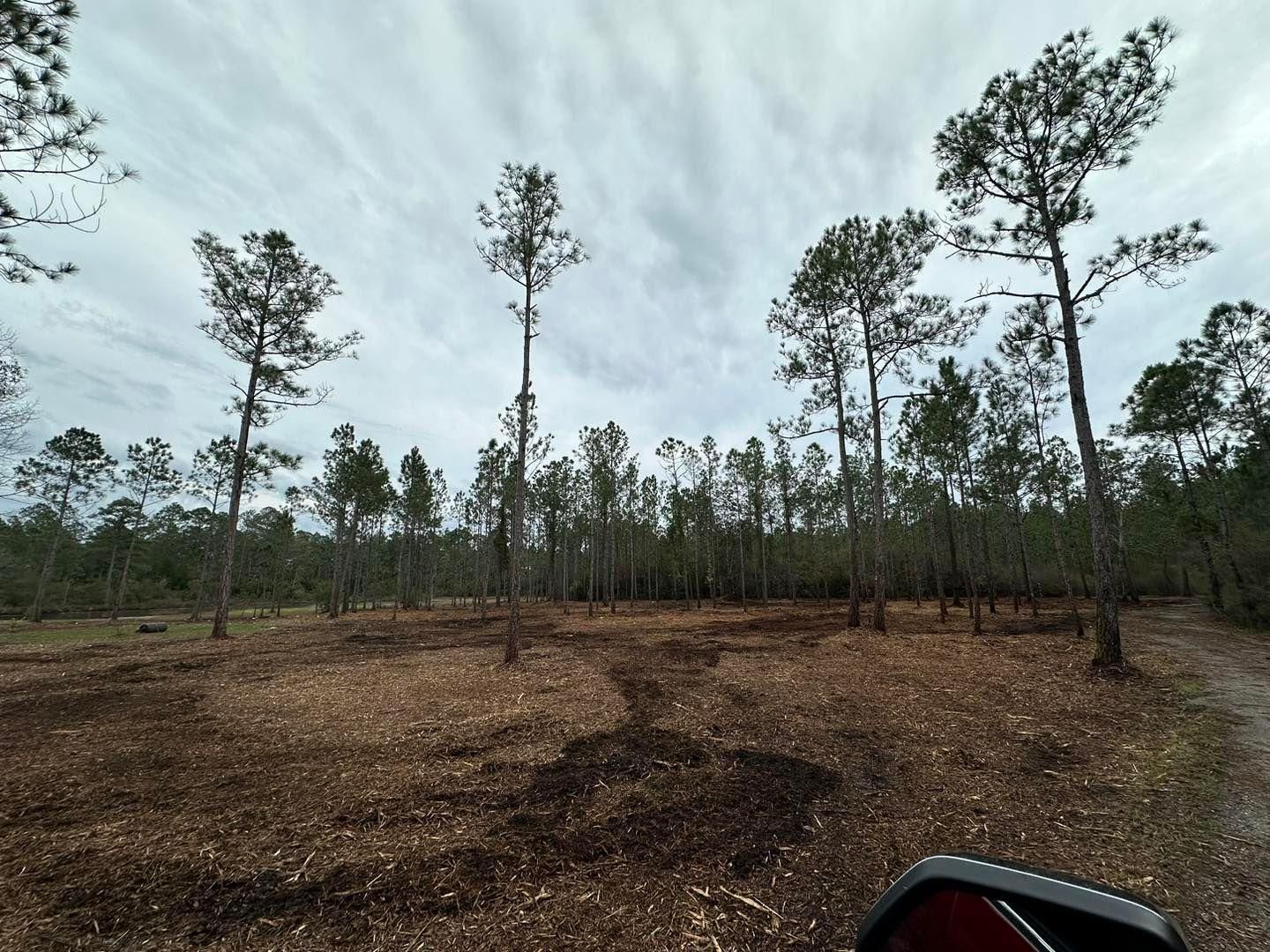 All Photos for White’s Land Maintenance in Milton,, FL