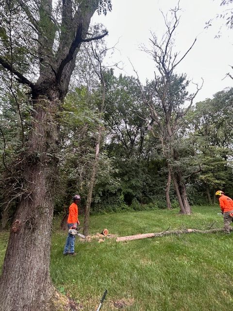All Photos for Cross Family Tree Service in Kearney, MO