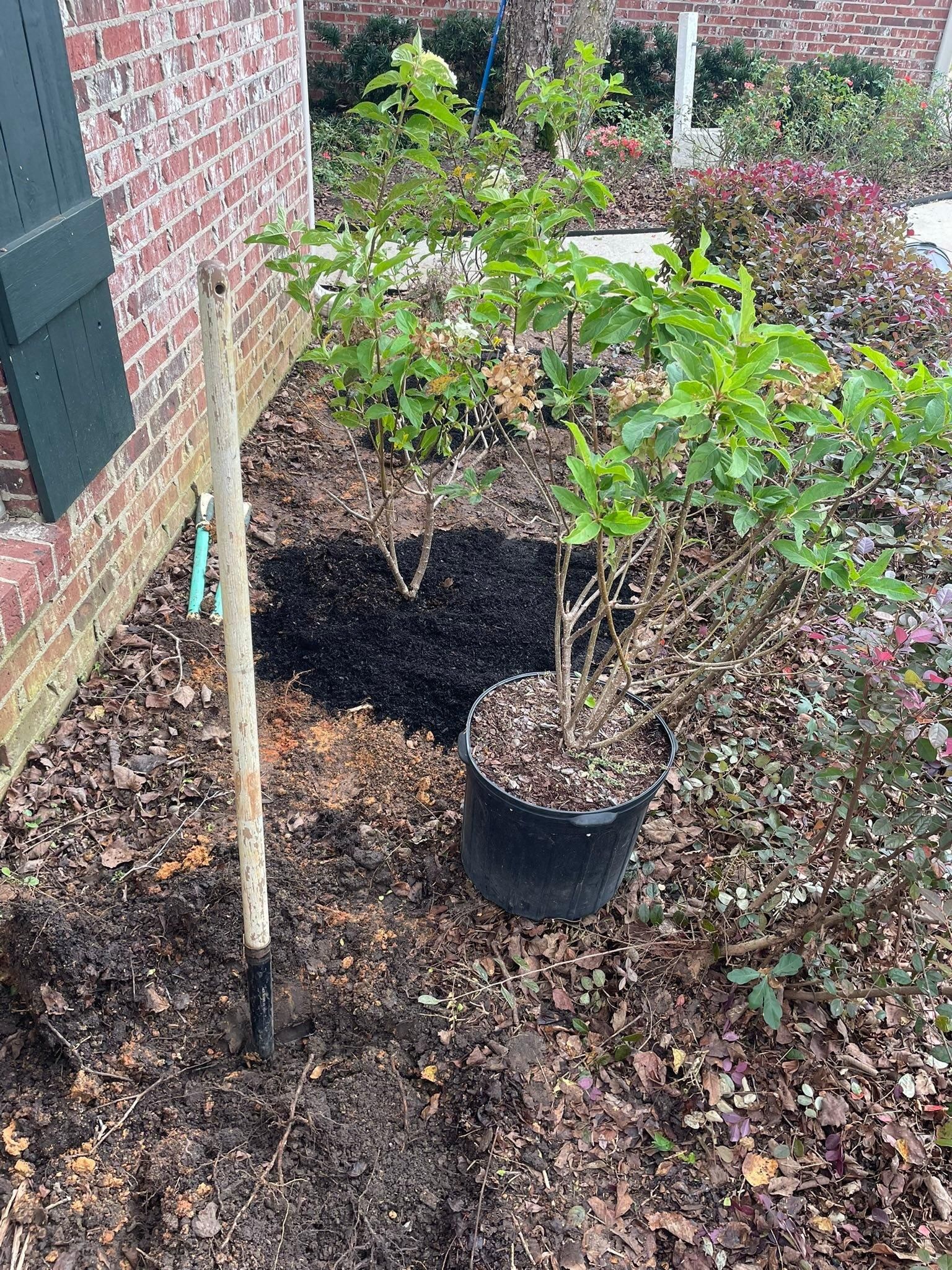  for Enhanced Landscape in Daphne, AL