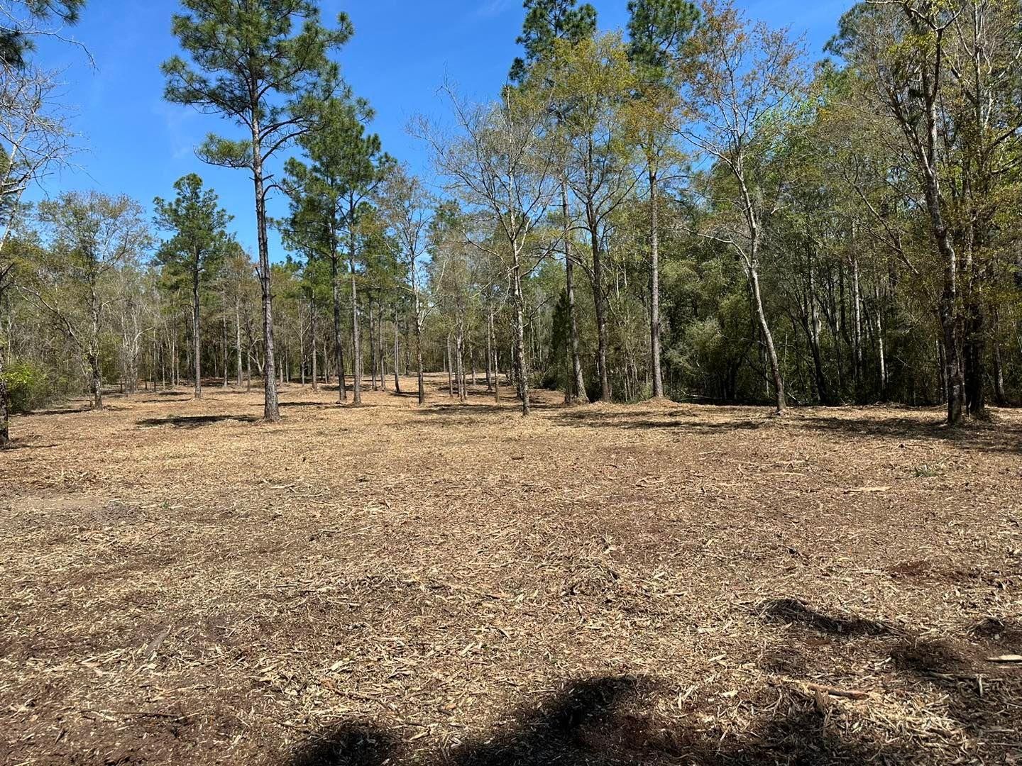 All Photos for White’s Land Maintenance in Milton,, FL