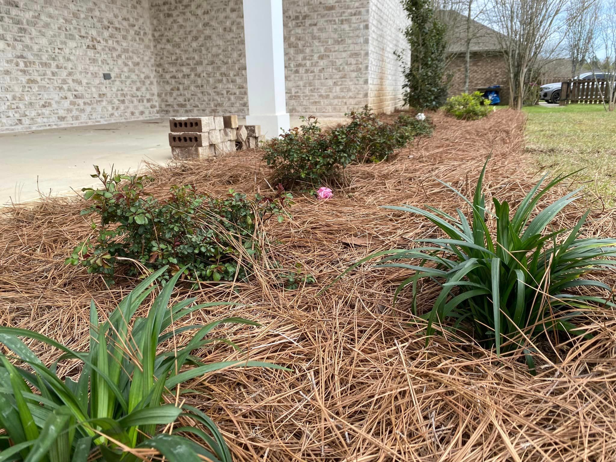  for Grasshopper's Lawn and Landscape in Fairhope, AL