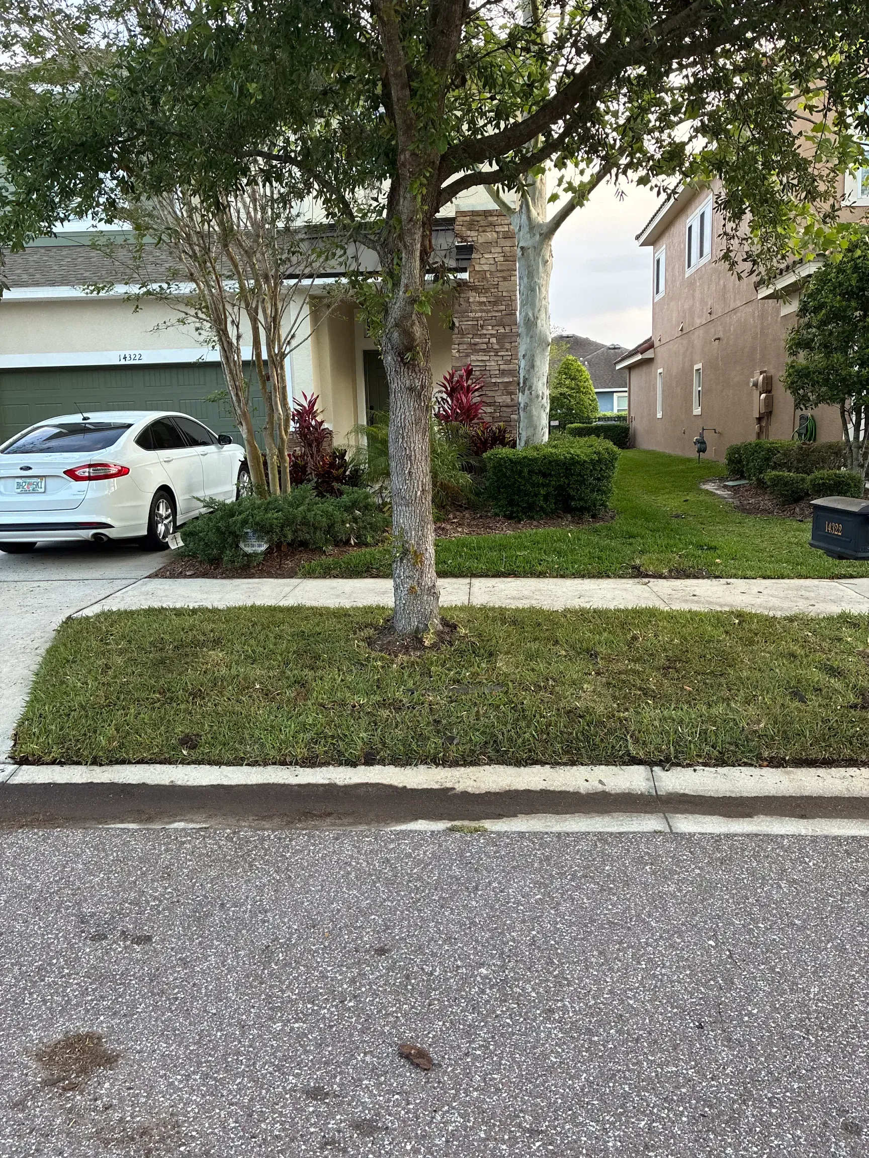  for Gulf Bay Sod in Clearwater, FL