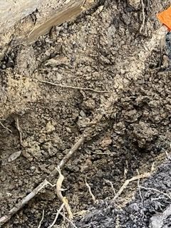  for Avanzi Plumbing in Millington, TN