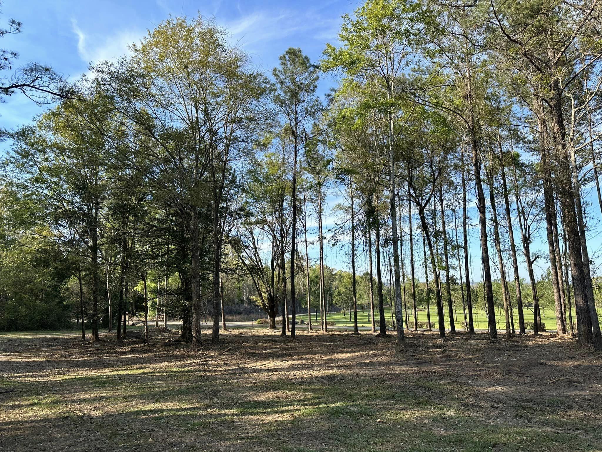 All Photos for White’s Land Maintenance in Milton,, FL