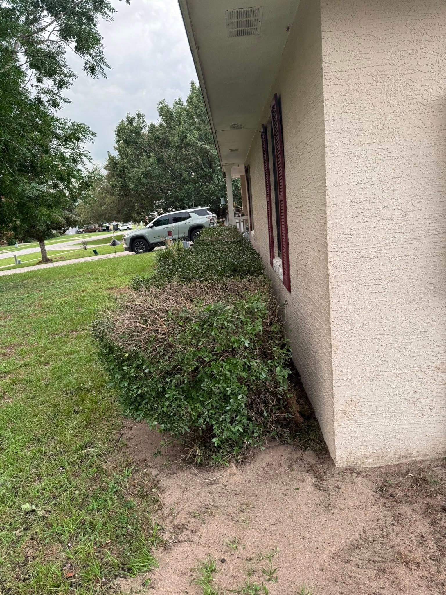  for Amerigrown Tree And Lawn in Apopka, FL