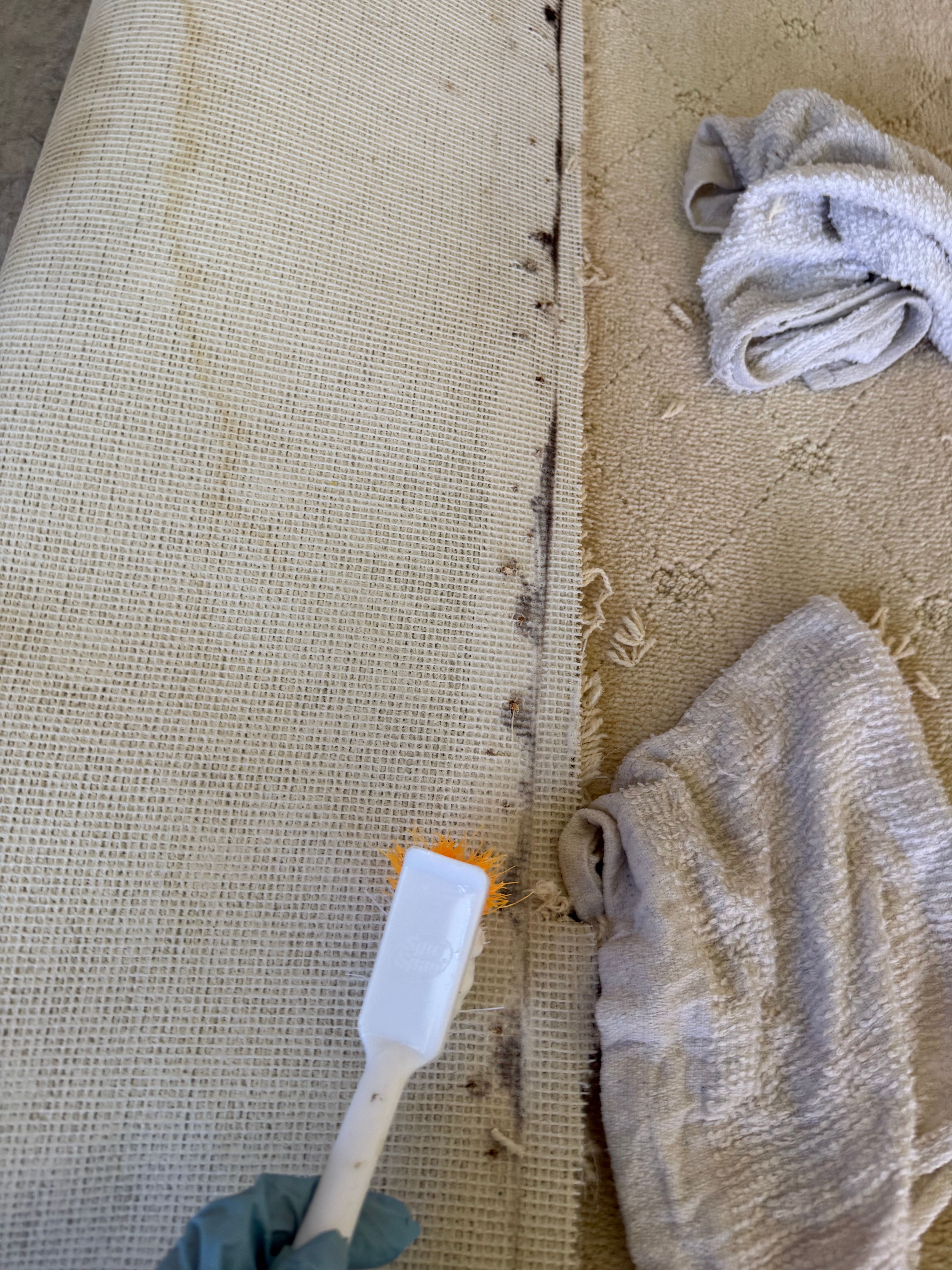  for N&D Restoration Services When Disaster Strikes, We Come In in Cape Coral,  FL