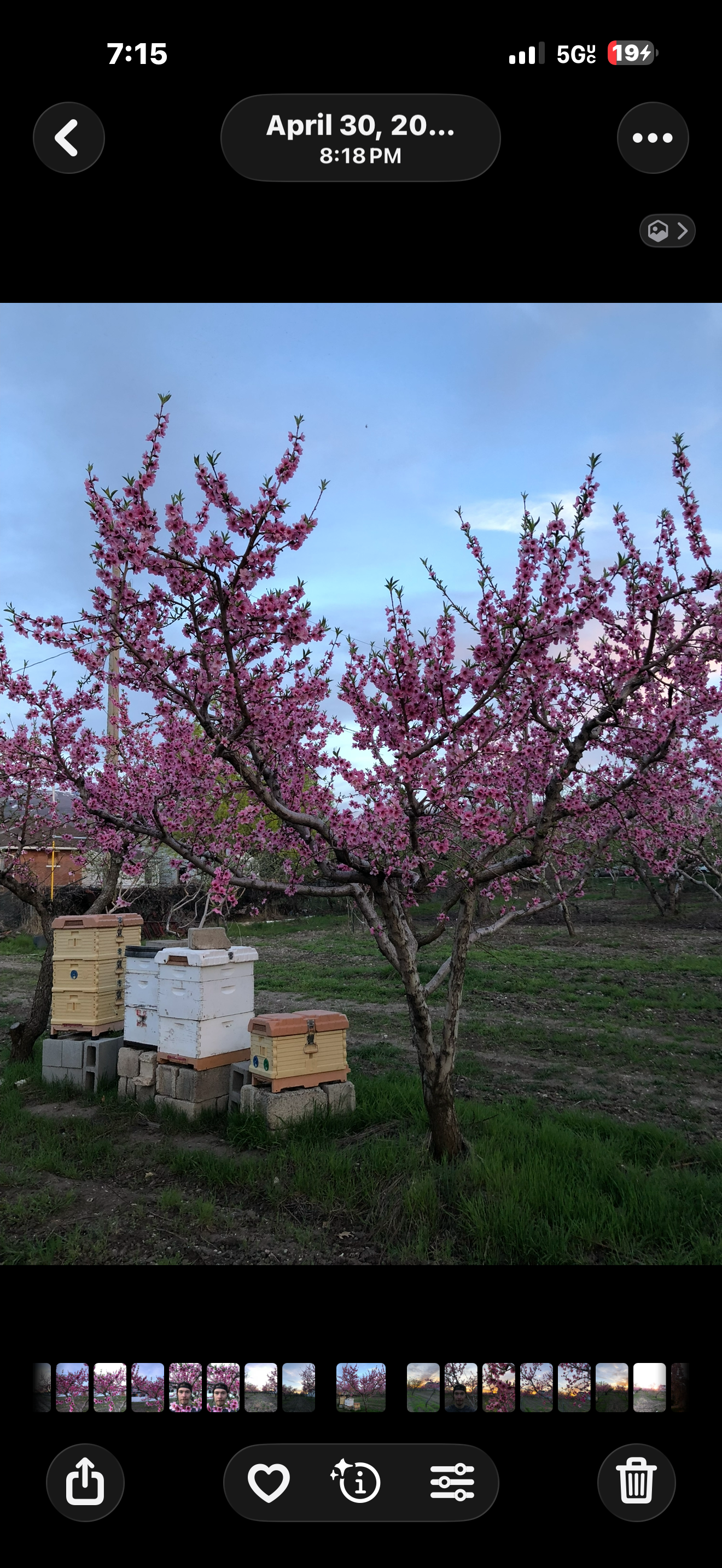  for Duncan Yard Services in Bountiful, UT