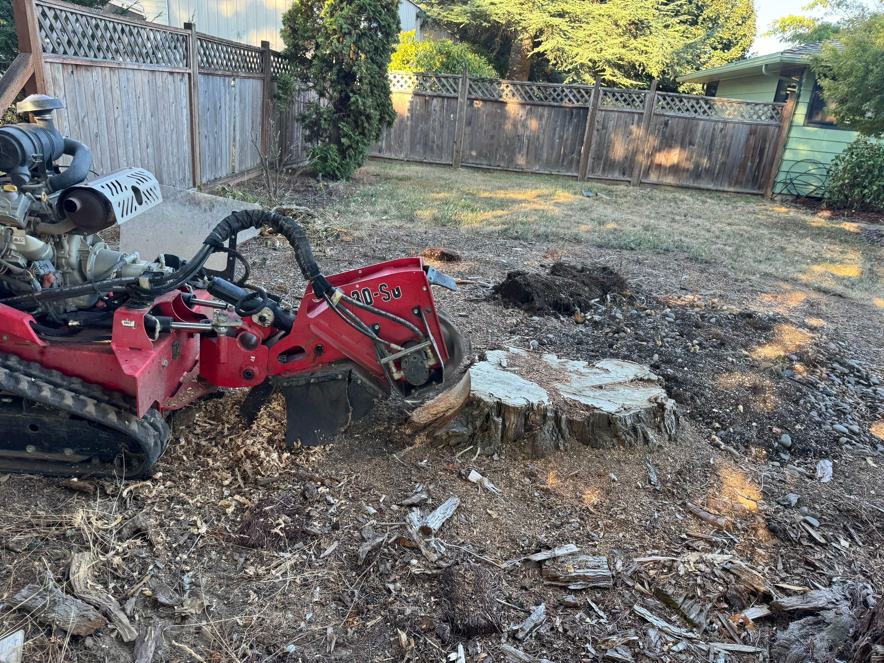  for Willamette Landscaping and Tree Services in Albany, OR