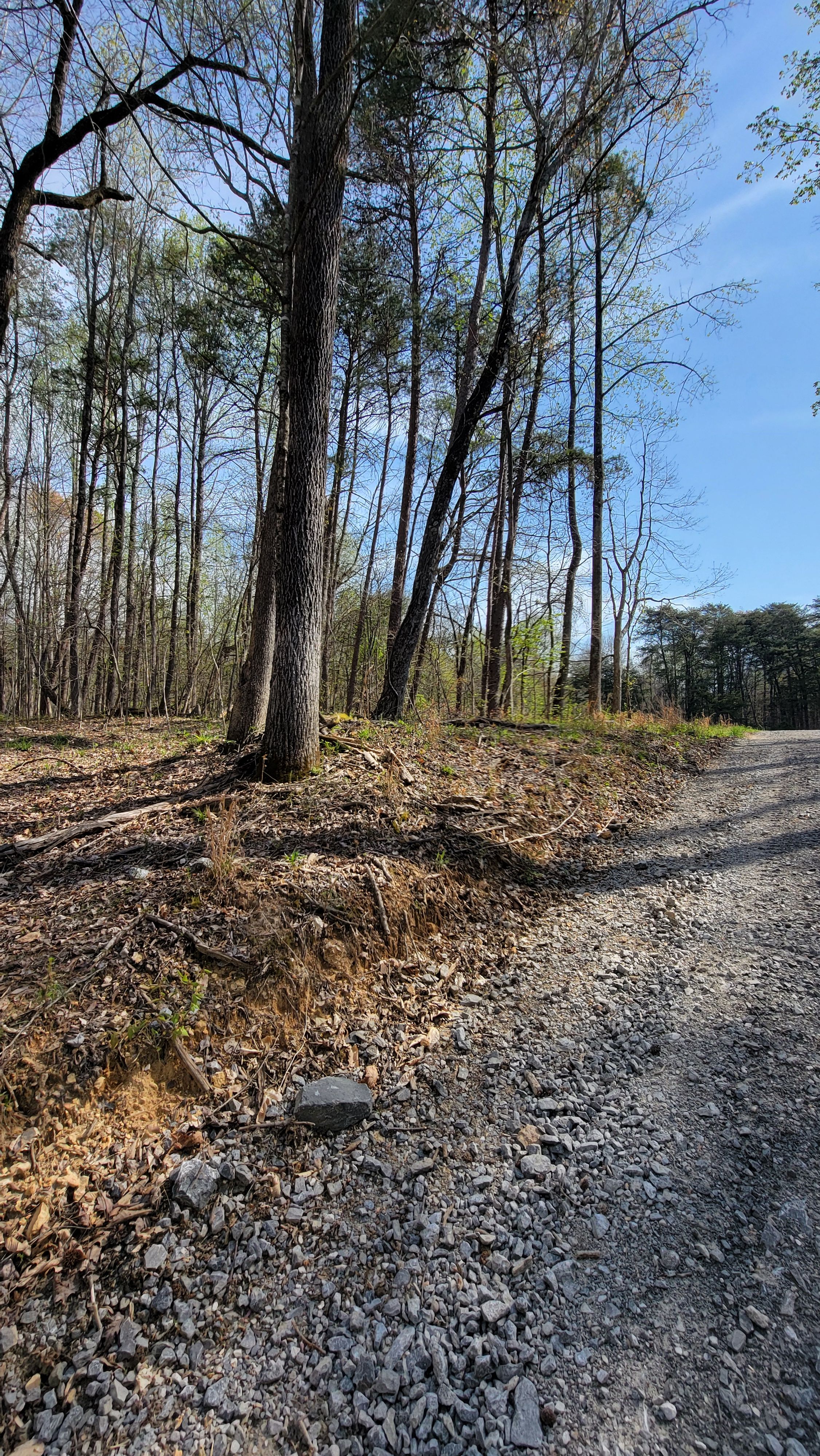  for Z's Land Management & Forestry Mulching in Smithville, TN