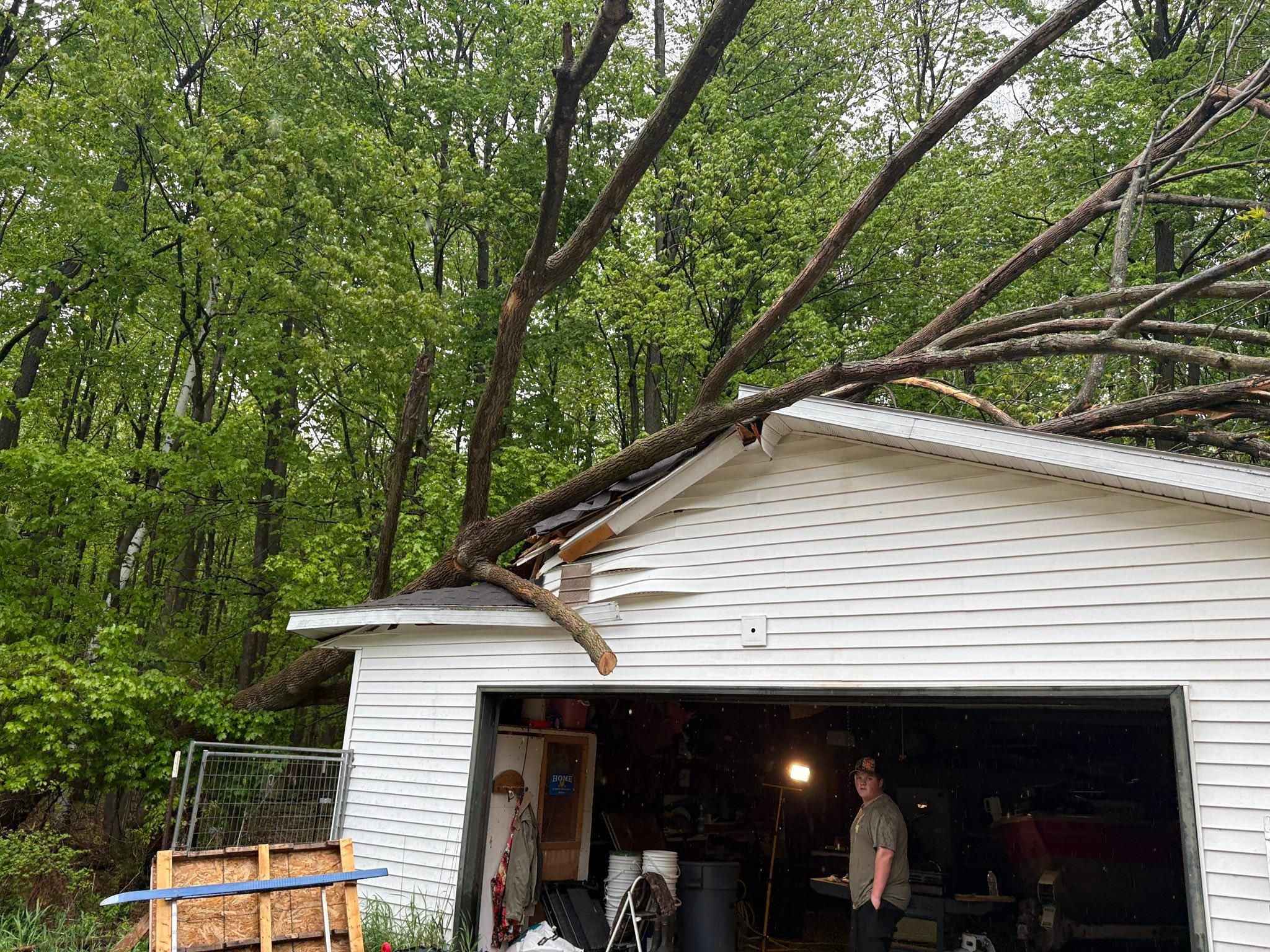  for Tree-B-Gone in Appleton, WI