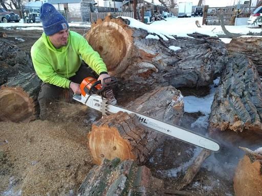  for Sloan Tree Service in Aurora, CO