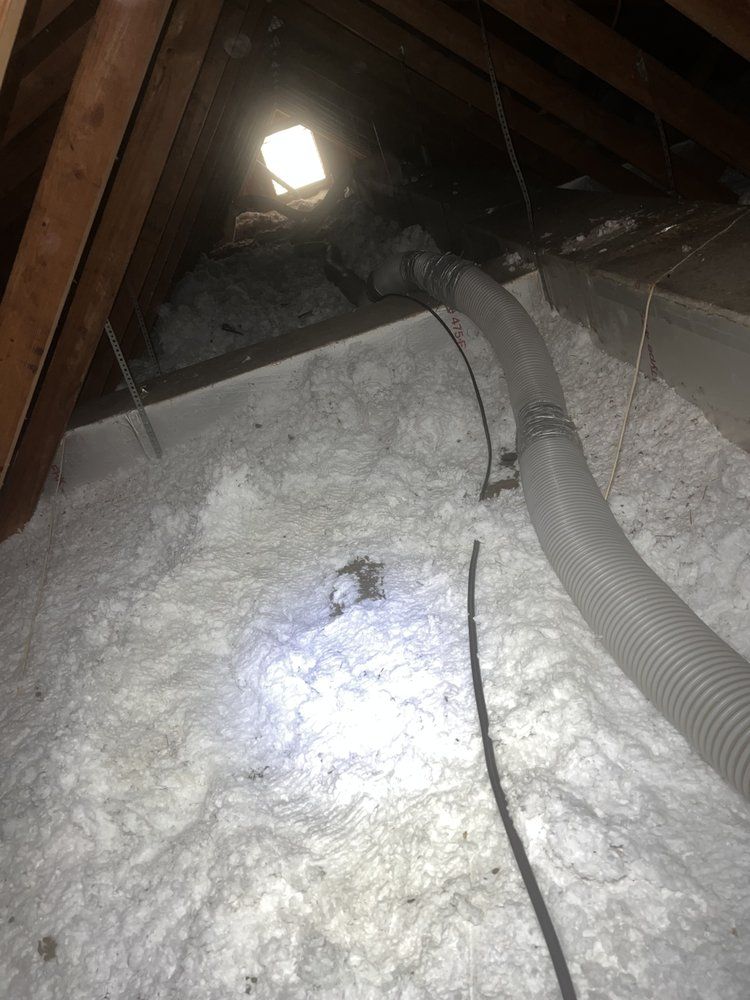  for Texas Eco Attic Solutions in Dallas, TX