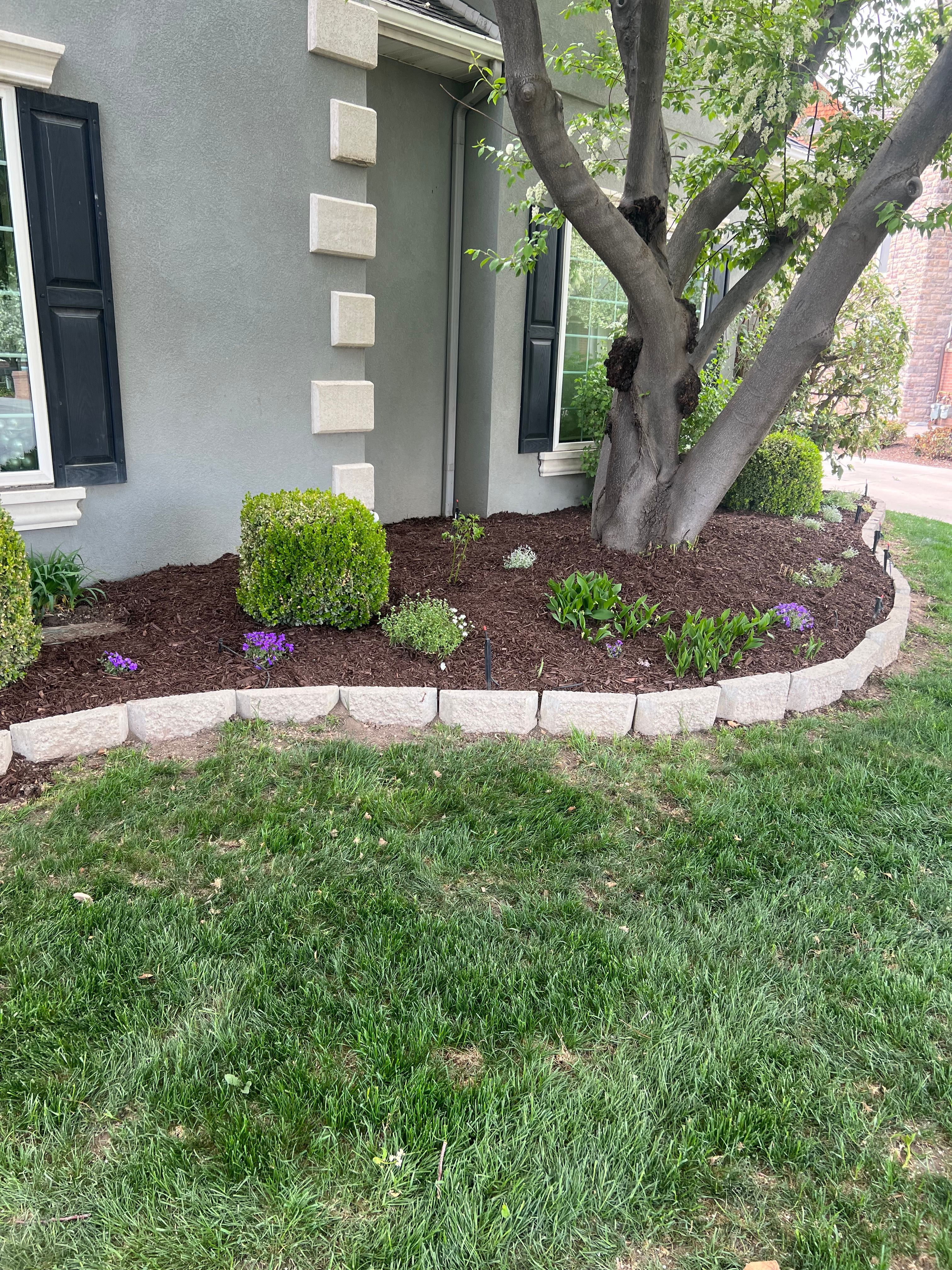  for Platinum Lawn Service in Santaquin, UT