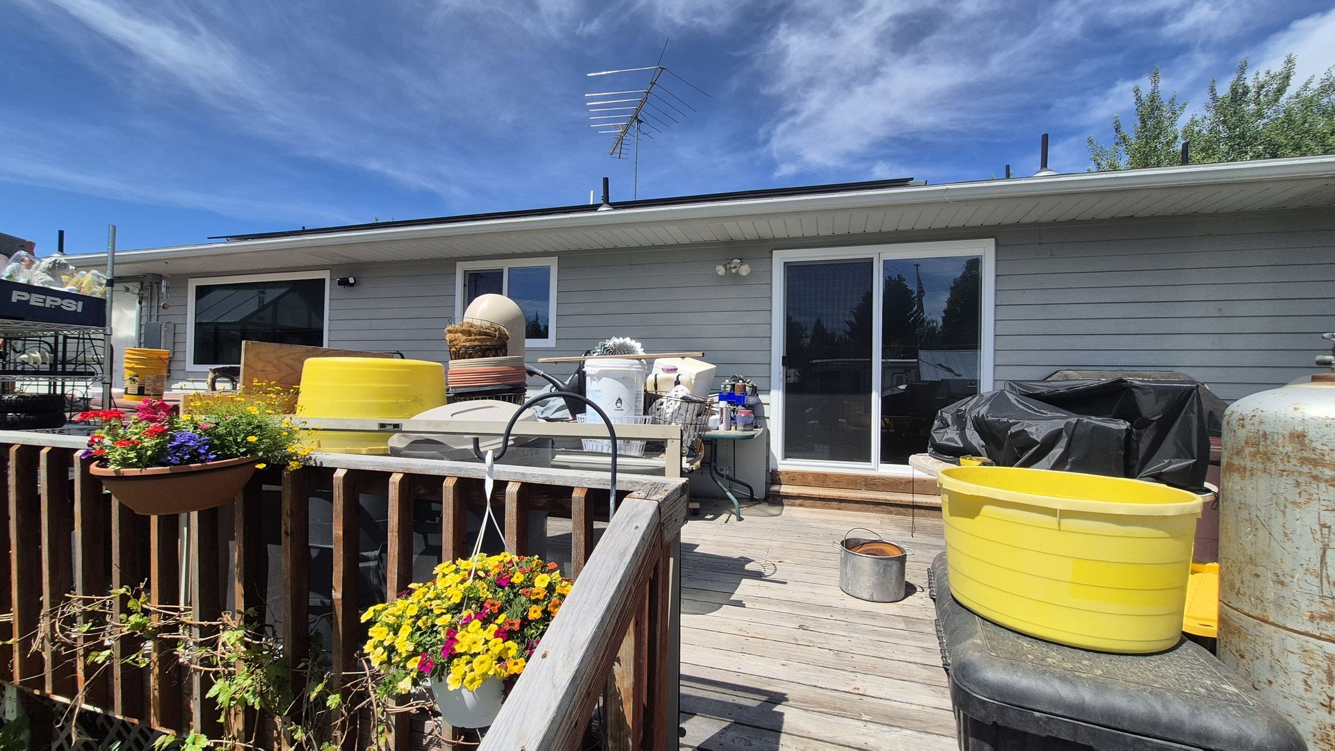  for Vivid Windows in Centerville, UT