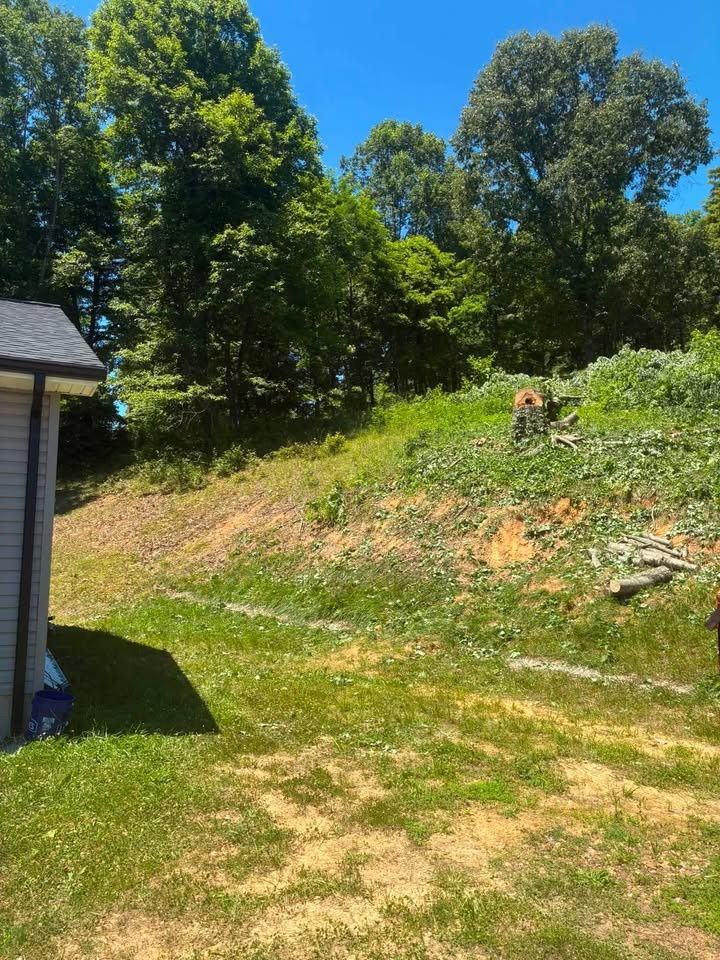  for Skys The Limit Tree Management in Morehead, KY