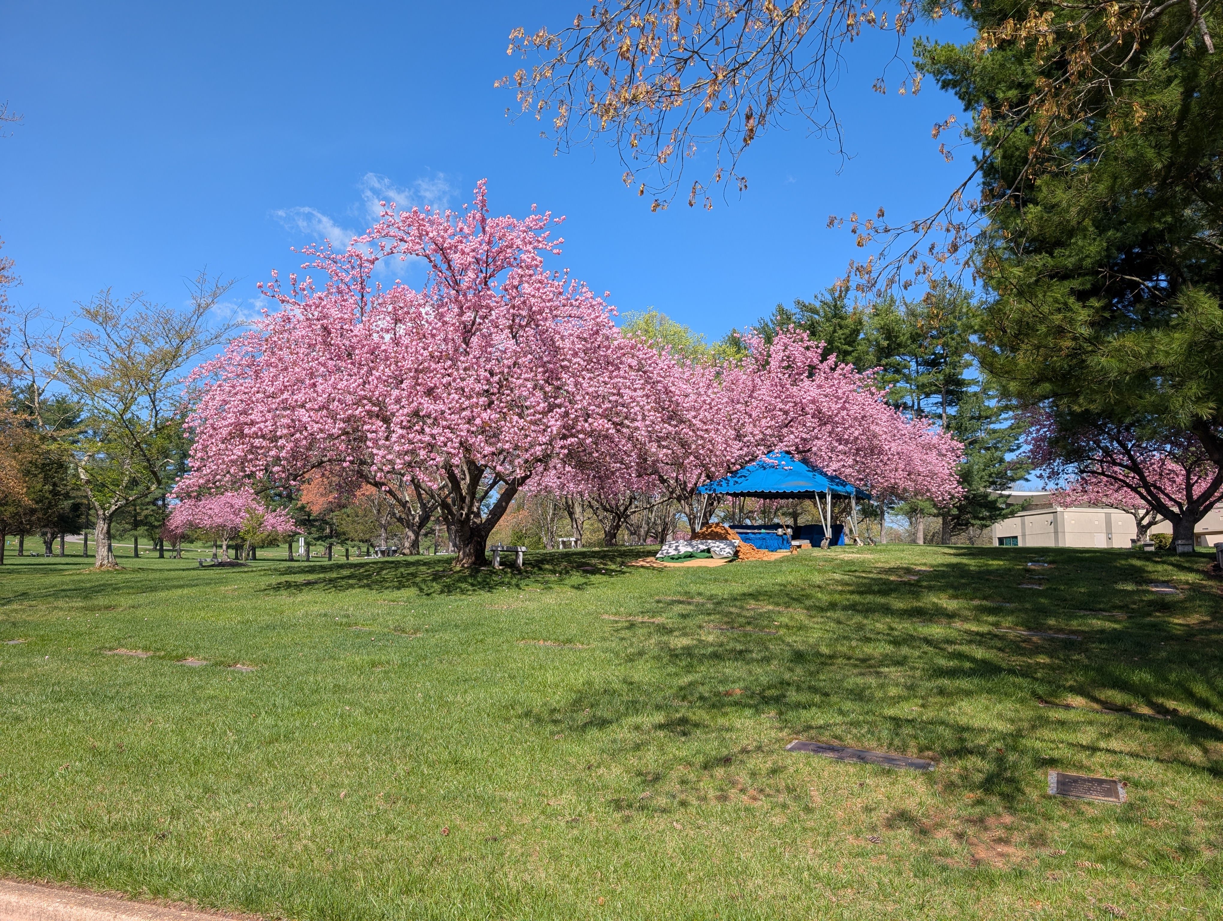  for Glen Co Solutions Inc. in Frederick, MD