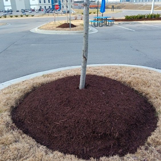  for The Right Price Right Choice Lawn Care Services in Murfreesboro, TN