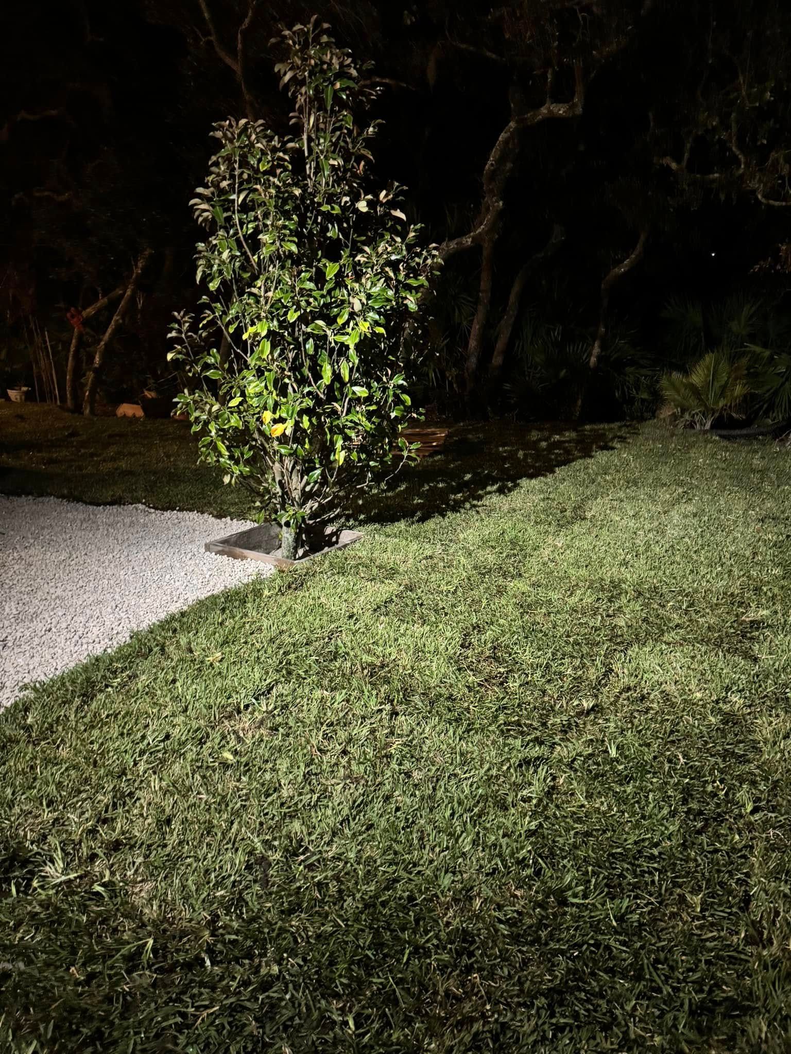  for Four Corners Sod in Saint Augustine, FL