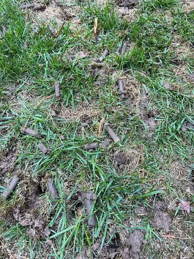  for Atlas Home Services in Mechanicsville, VA