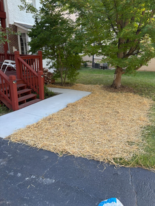  for J & B Landscaping in St. Louis, MO