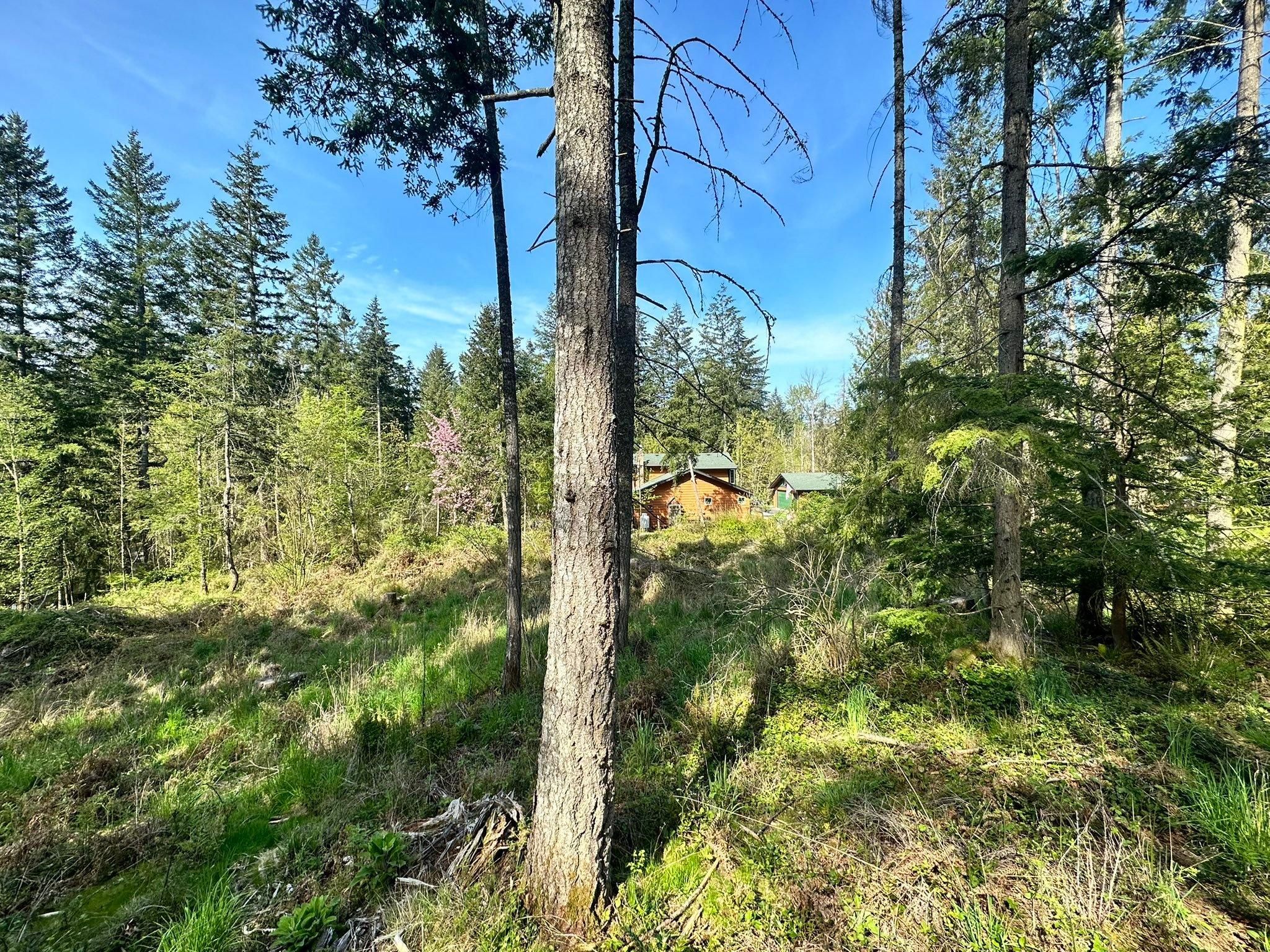 All Photos for MD Construction & Sewer in North Yelm, WA