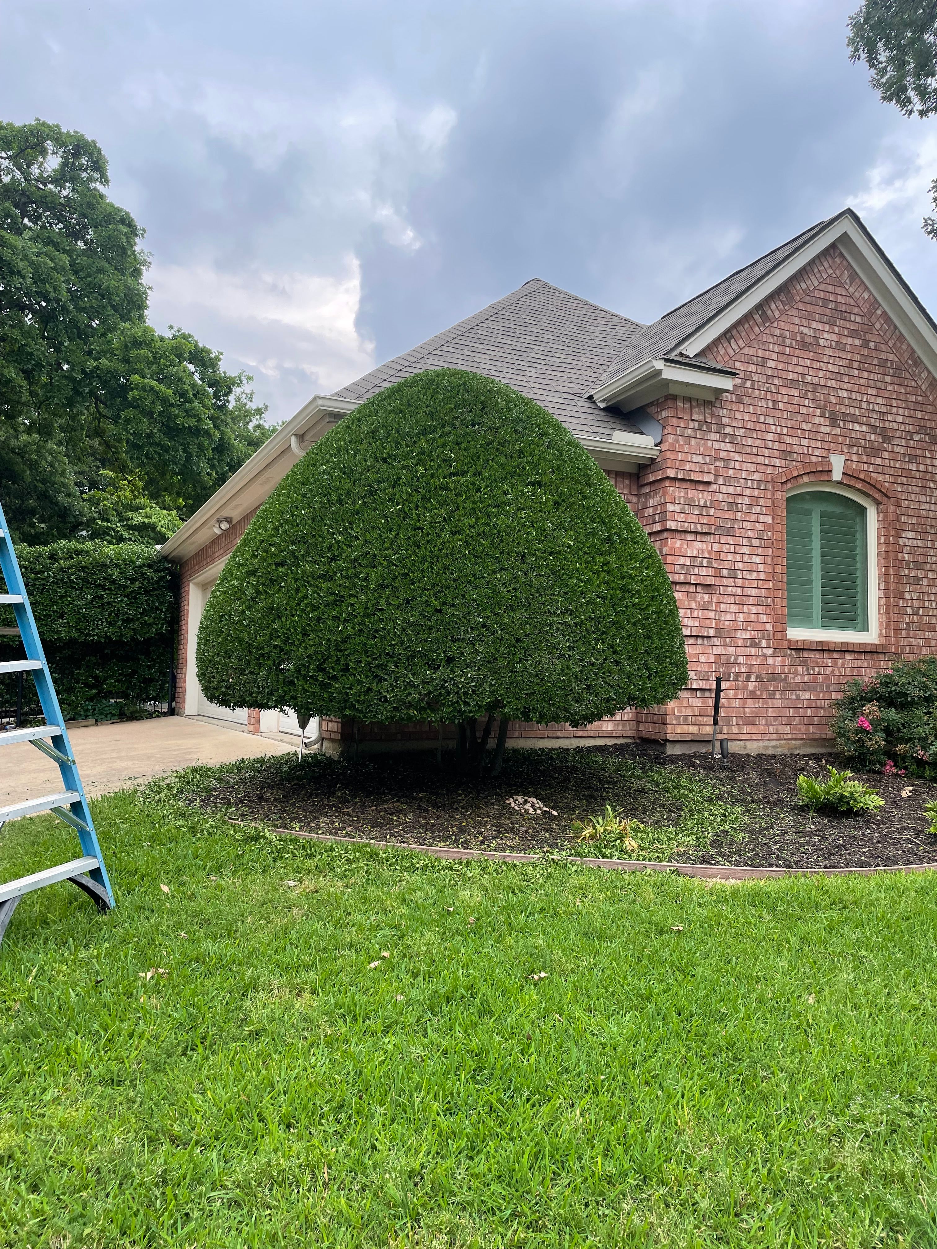  for Joandi's Lawn & Landscaping Service in Haltom City, TX