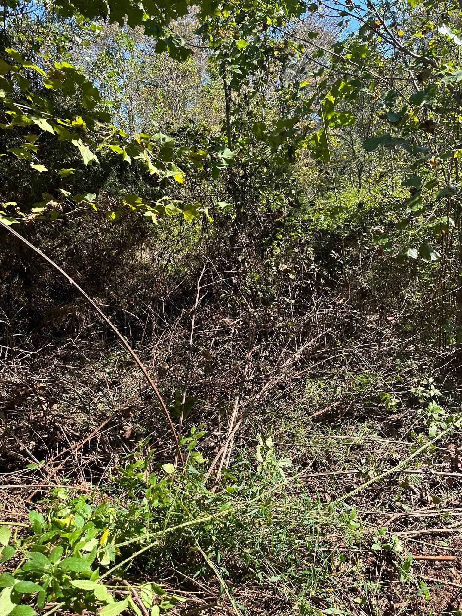  for Excavation Innovations in Rogersville, TN