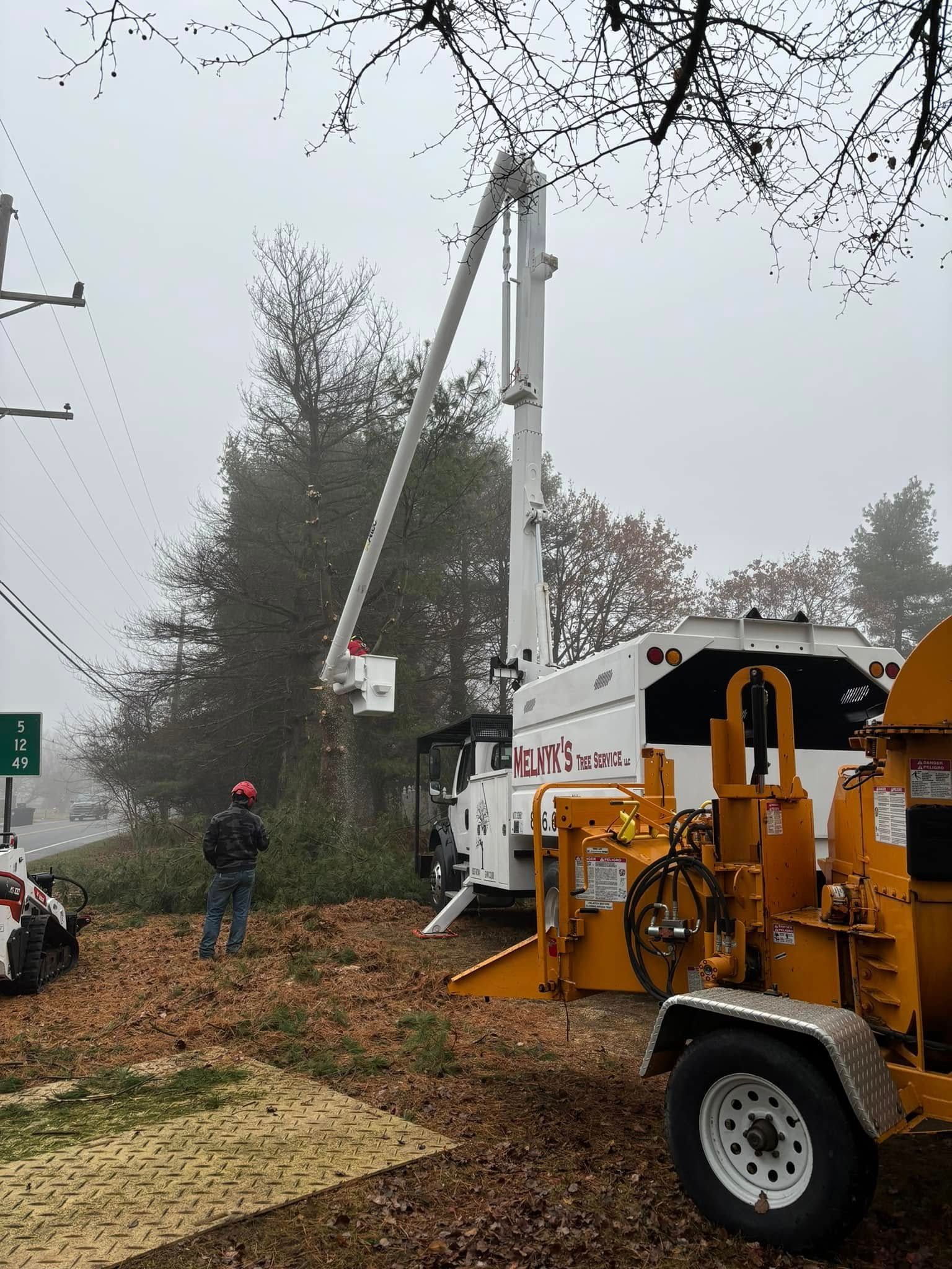 Tree Removal for Melnyk’s Tree Service in Salem County, NJ