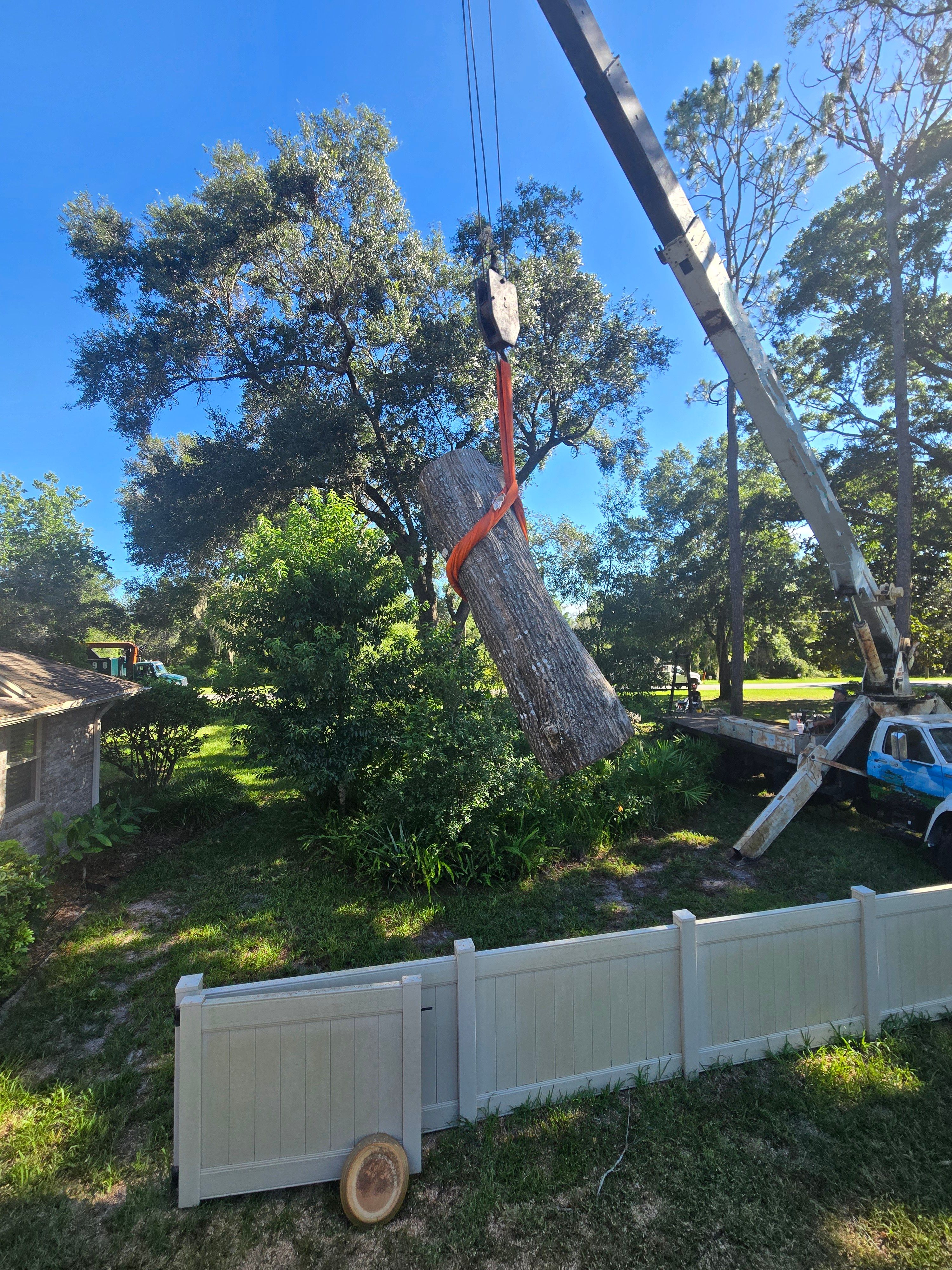 All Photos for Near Me Tree Service, Inc. in DeLand, FL