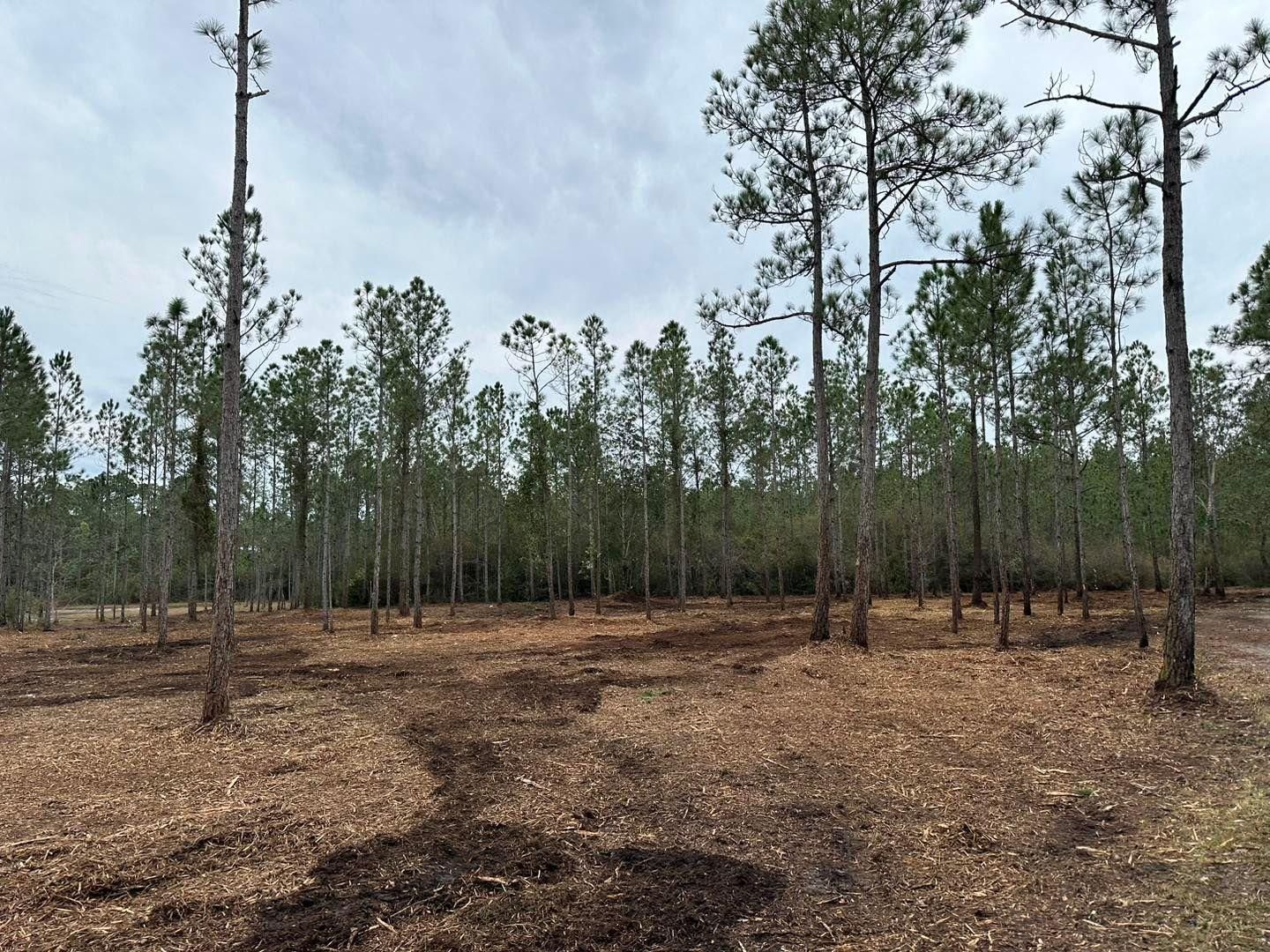  for White’s Land Maintenance in Milton,, FL