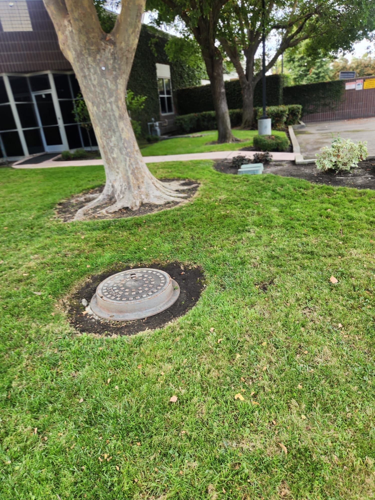  for Vargas LANSCAPE LLC in Stockton, CA